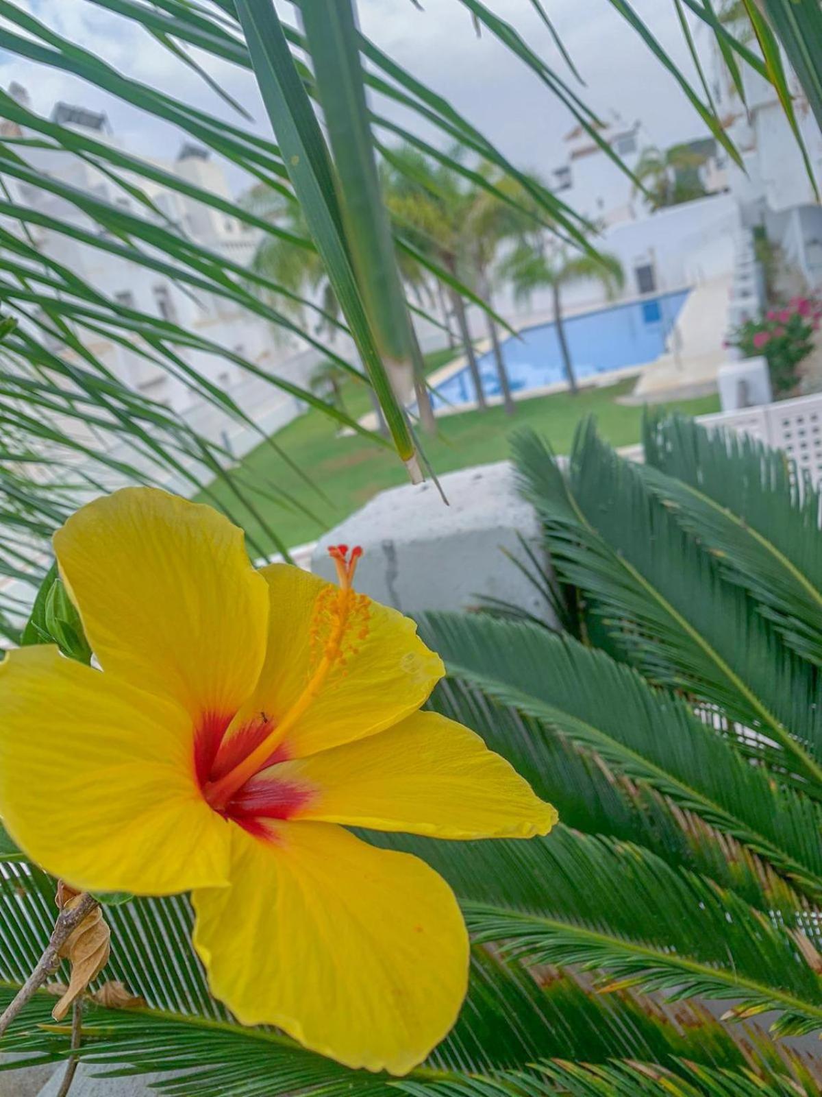 Apartamento Golf Valle Romano