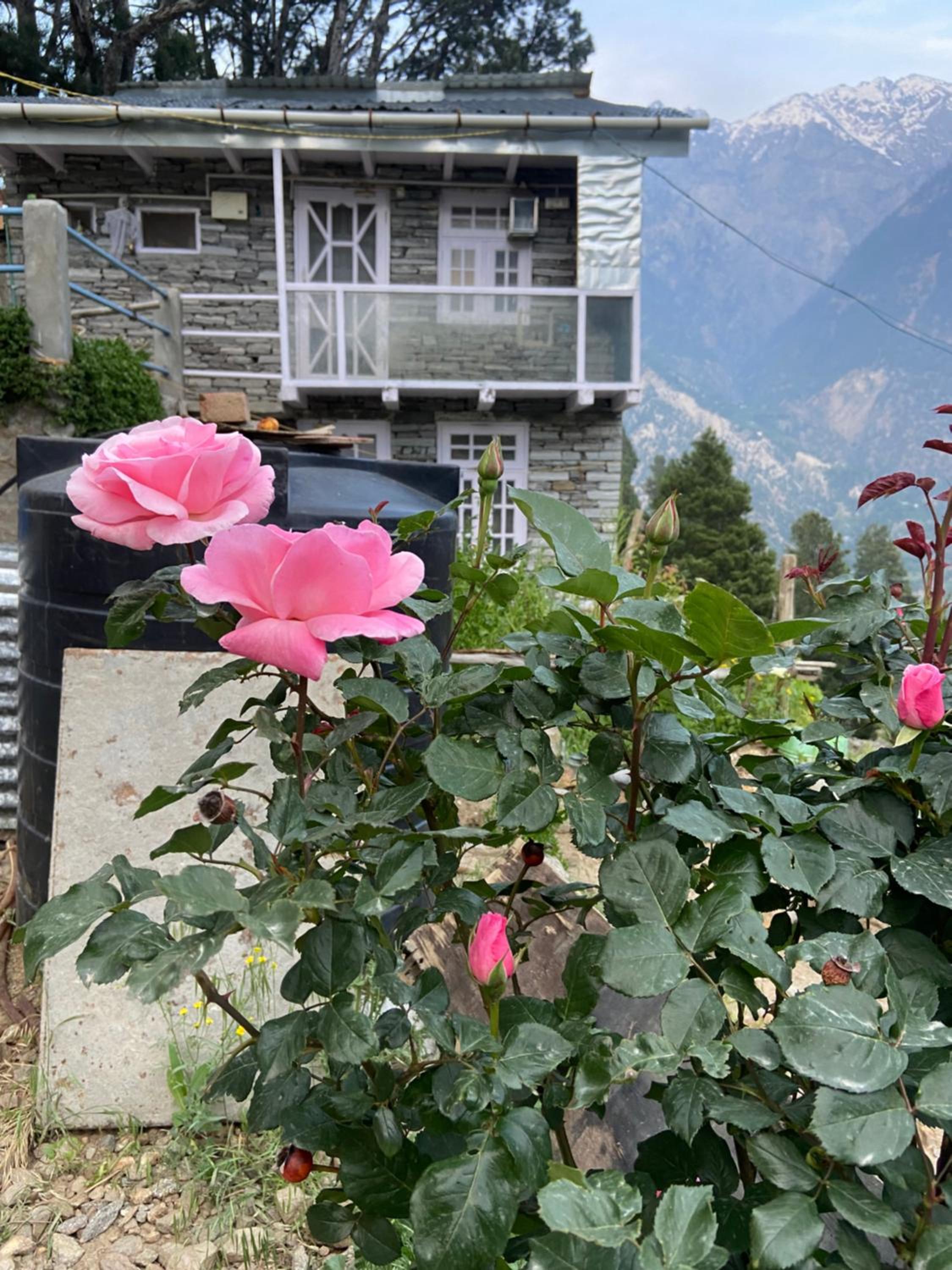 Raldang Himalayan homestay & farm stay