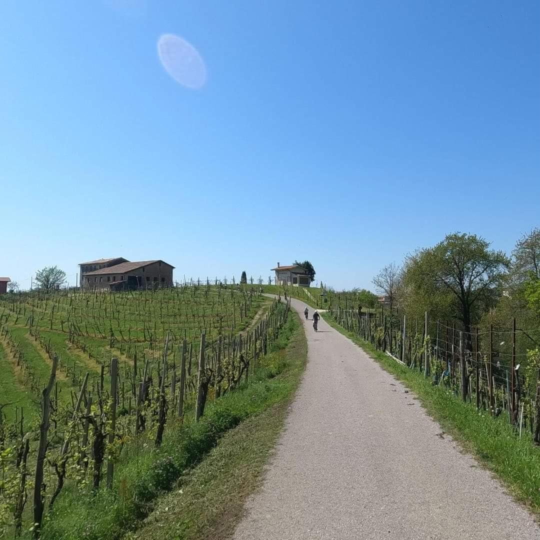 B&B Terre Di Bea