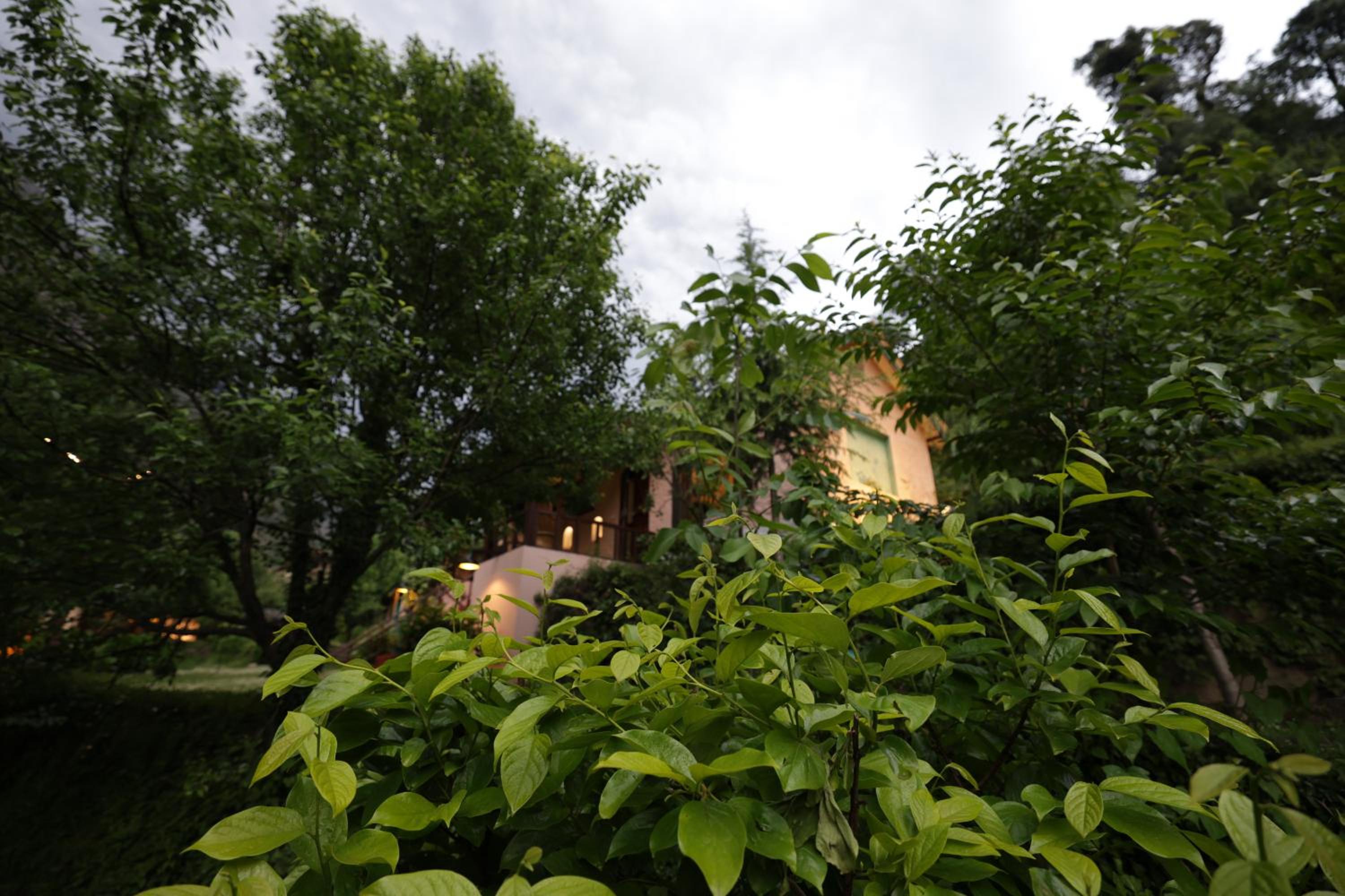 Photo 52