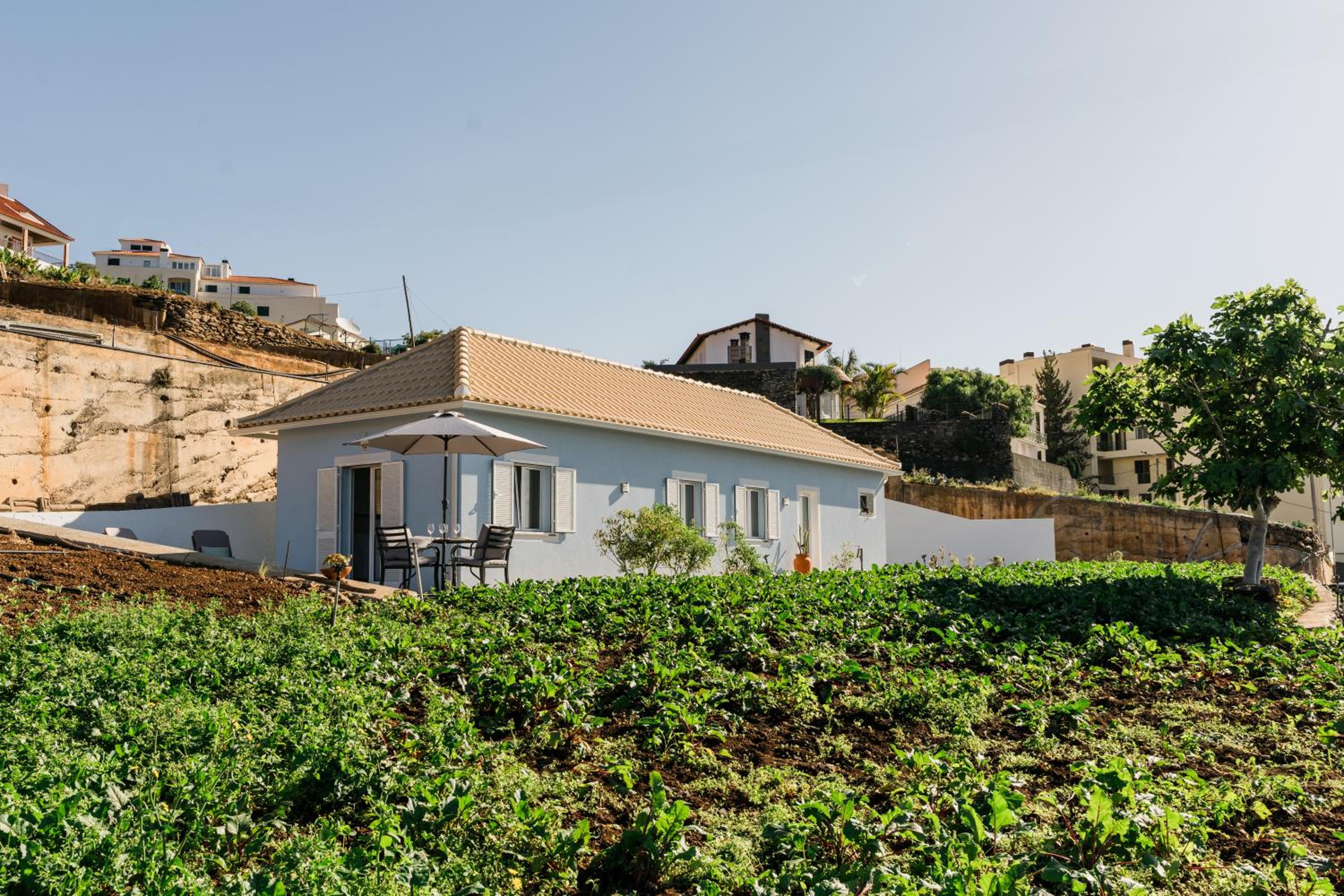 Canico Vacations - Casa Ti'Rosa - Property Image 1