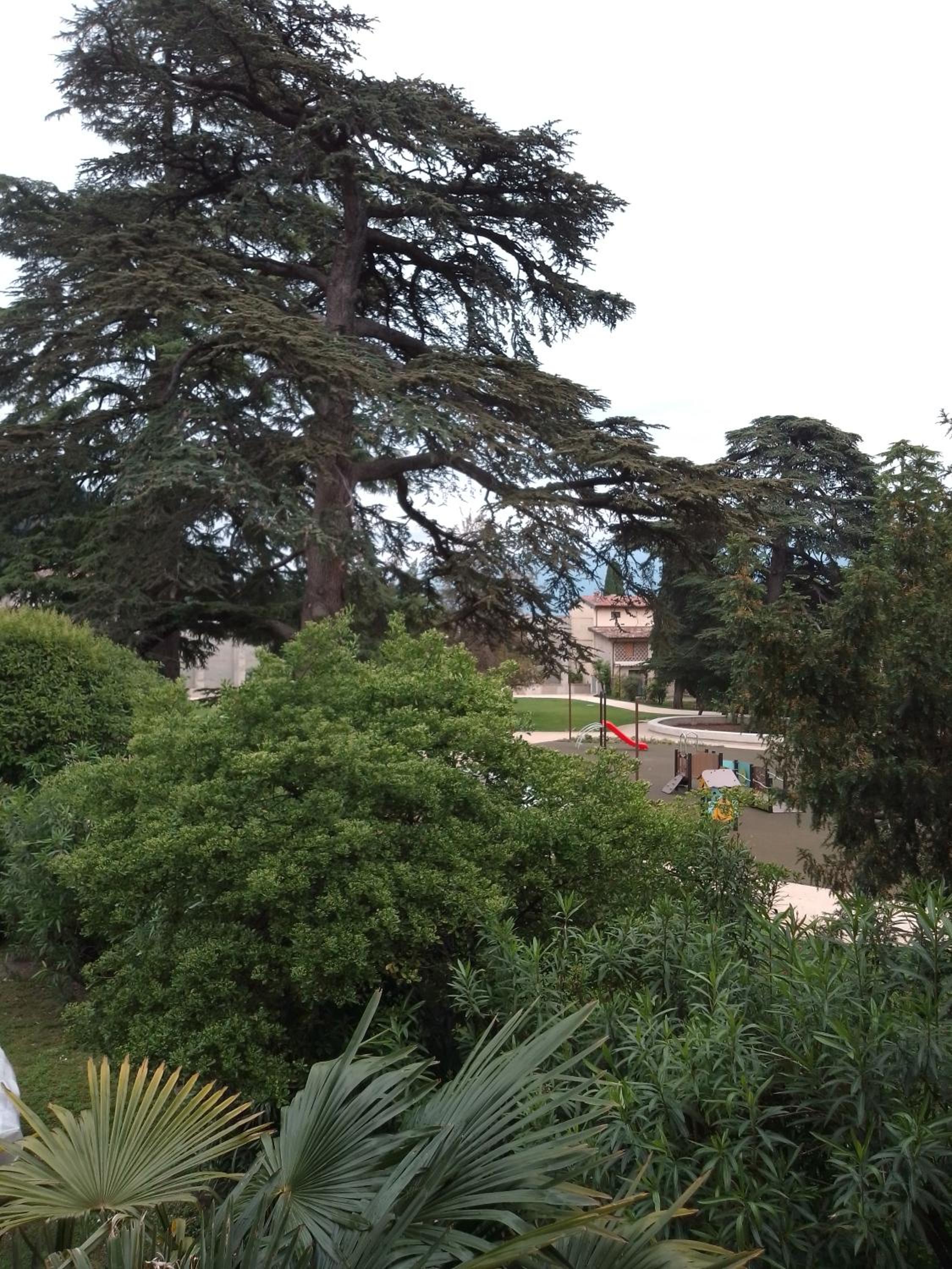 Casa Gabry Bouganville view 5