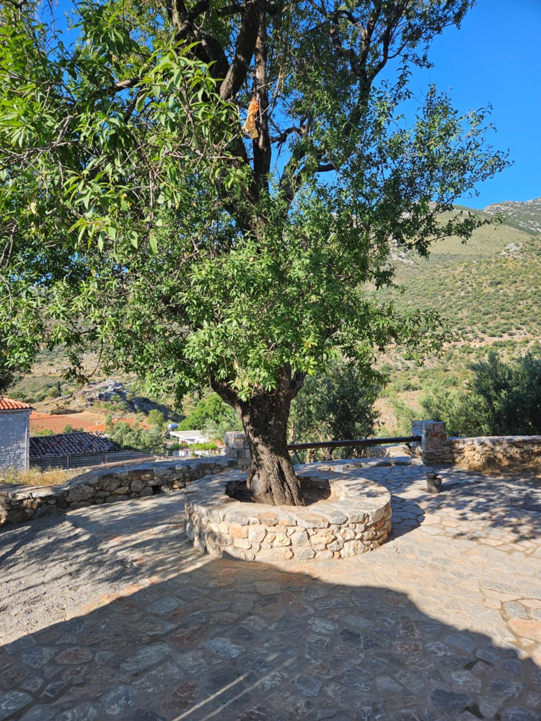 Casa Tsiliviani