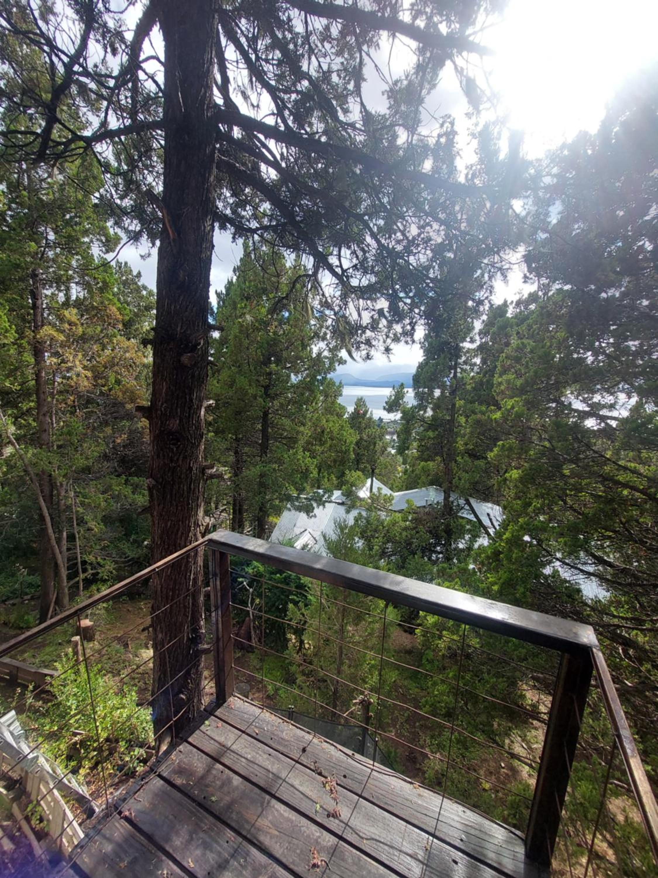 Casita moderna en el bosque