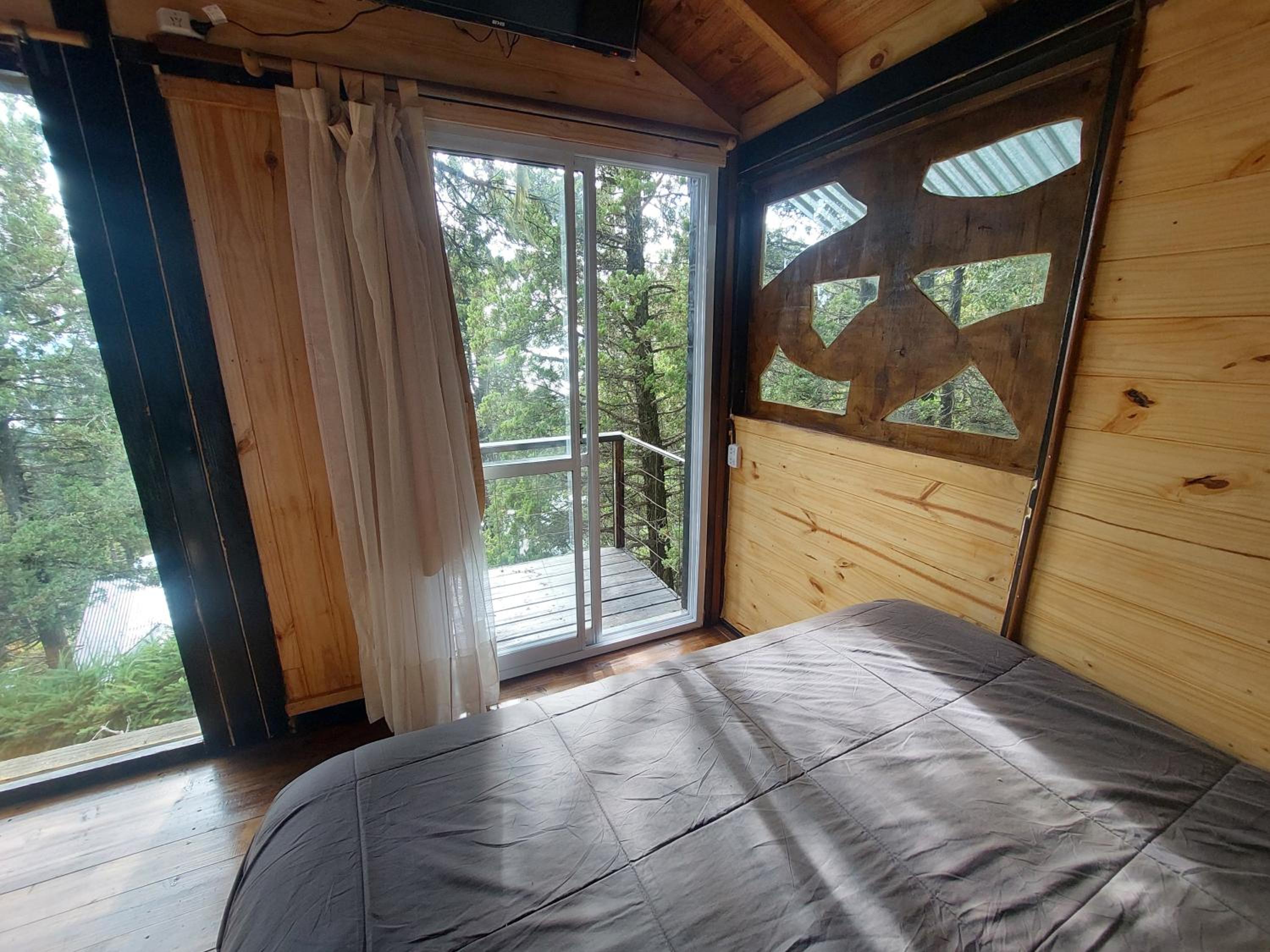 Casita moderna en el bosque