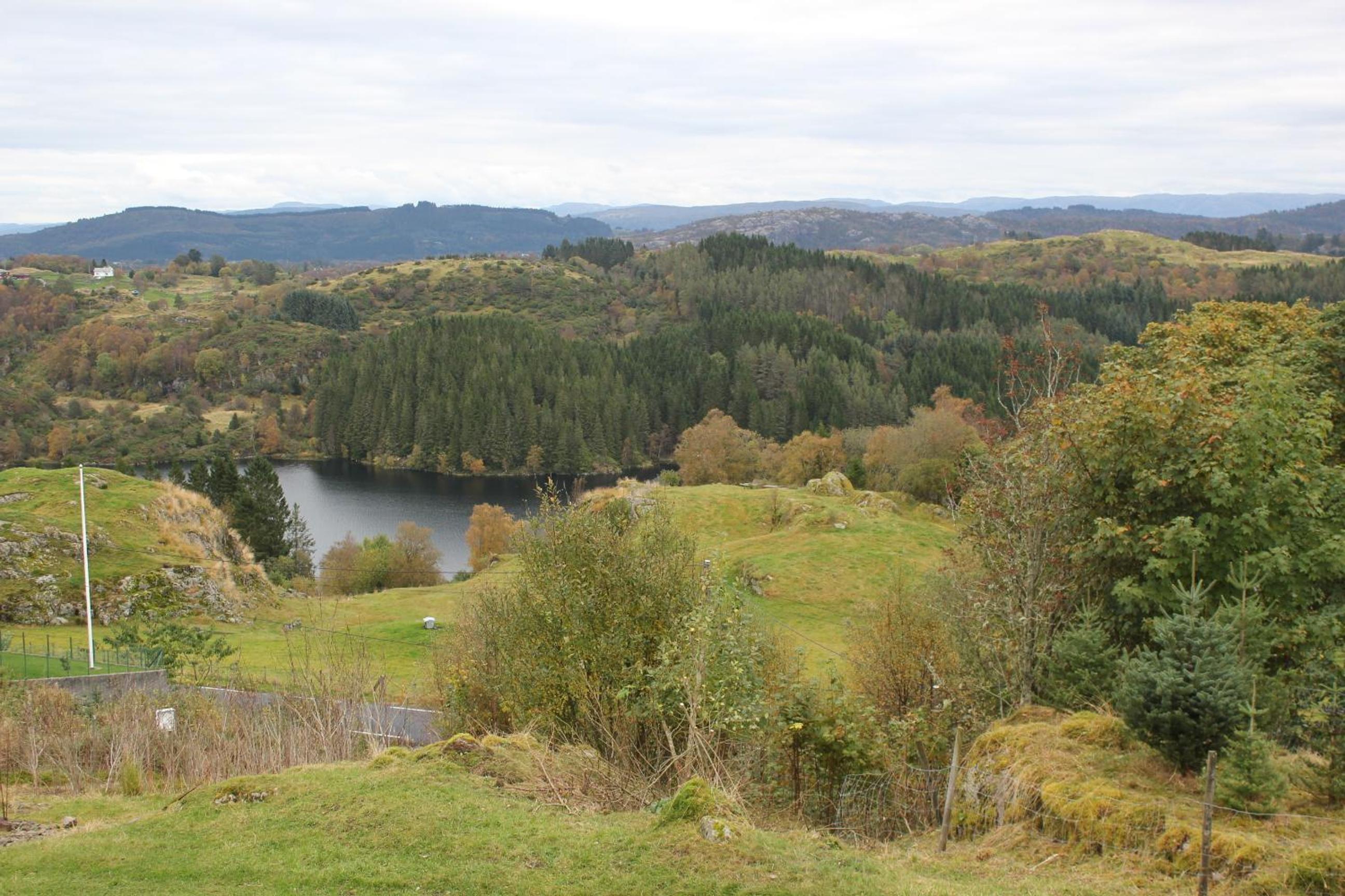 Photo 20