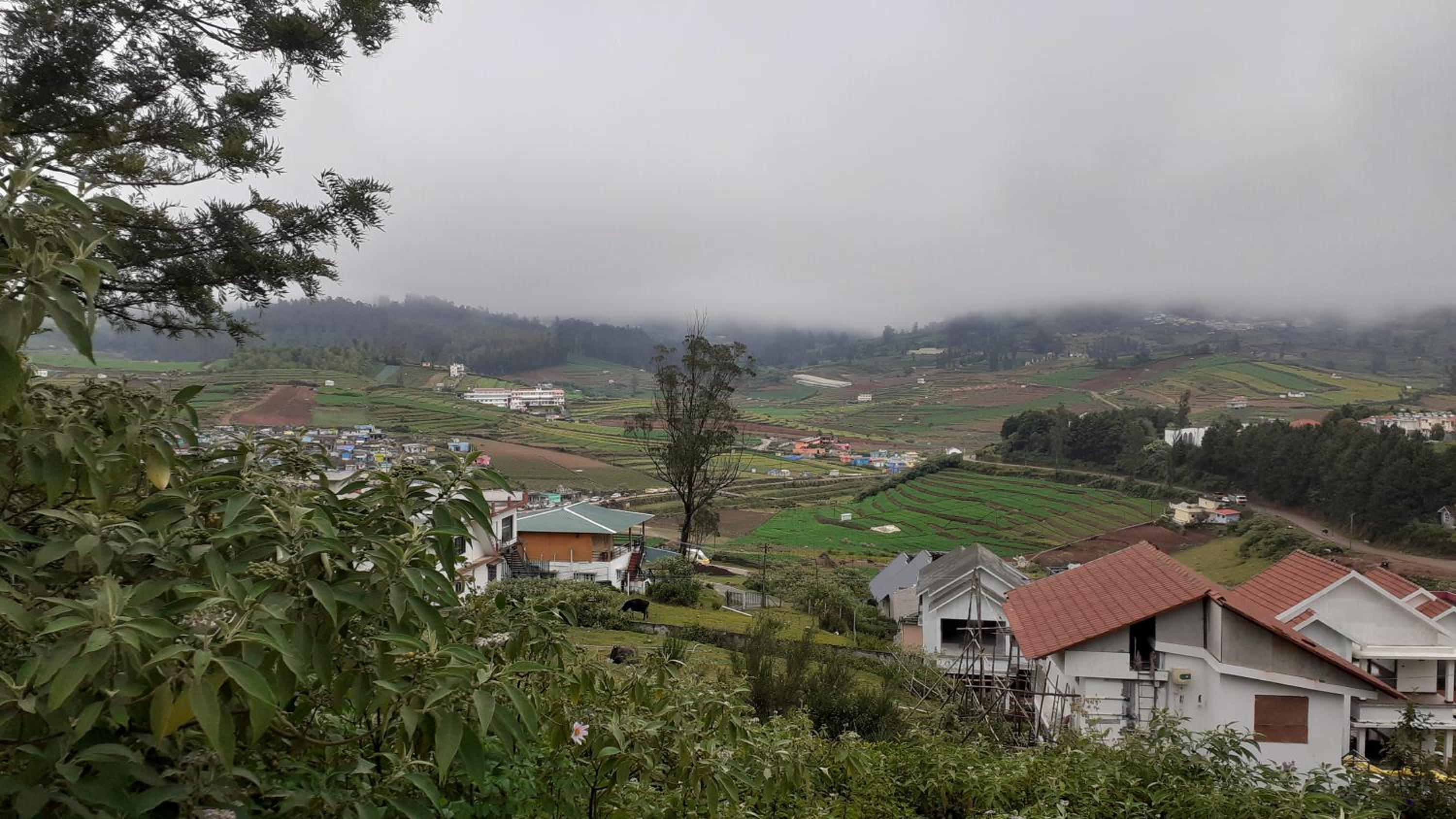 Varenya@Ooty view 5