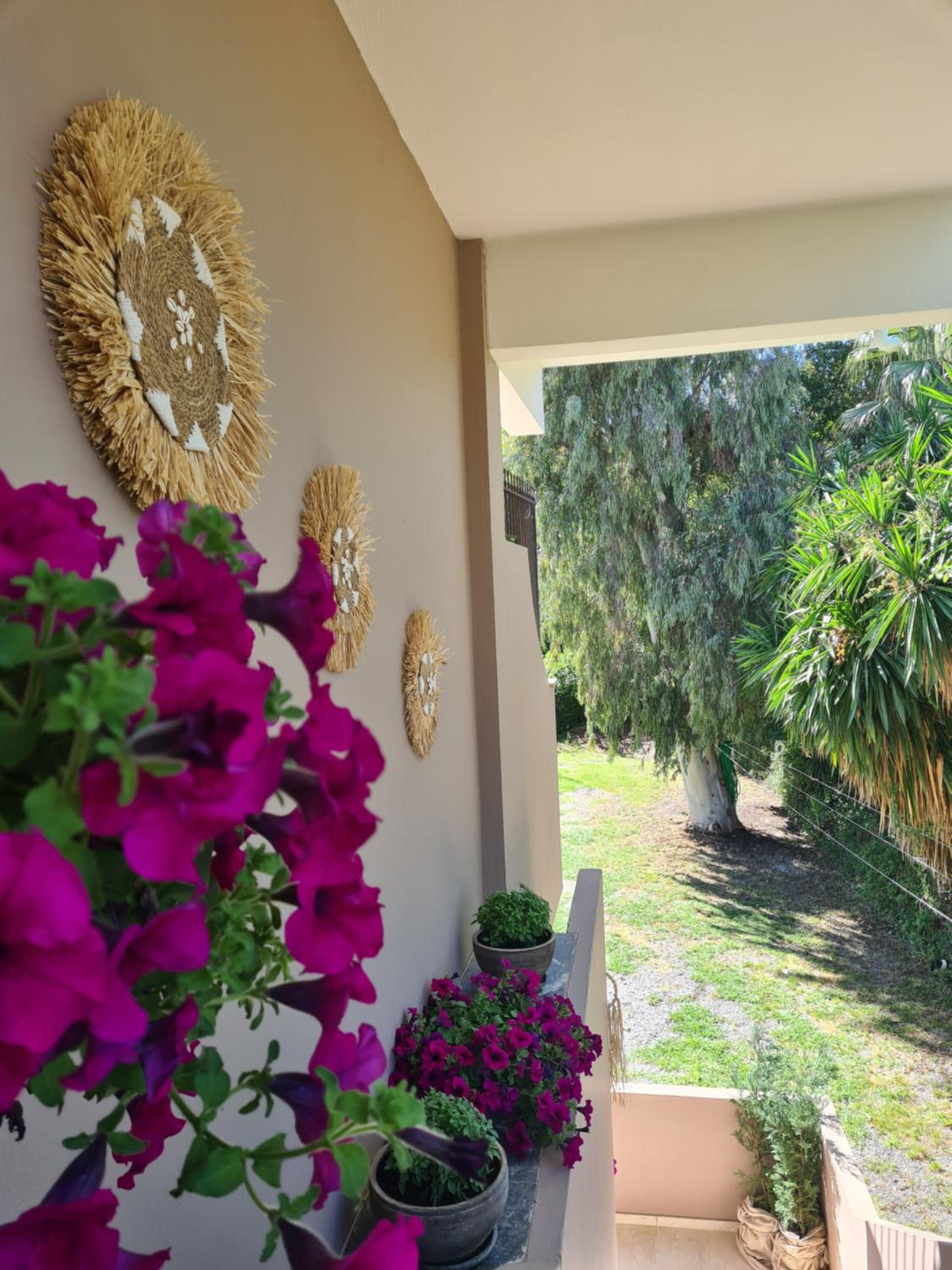 Malibu Summer Studios photo 5