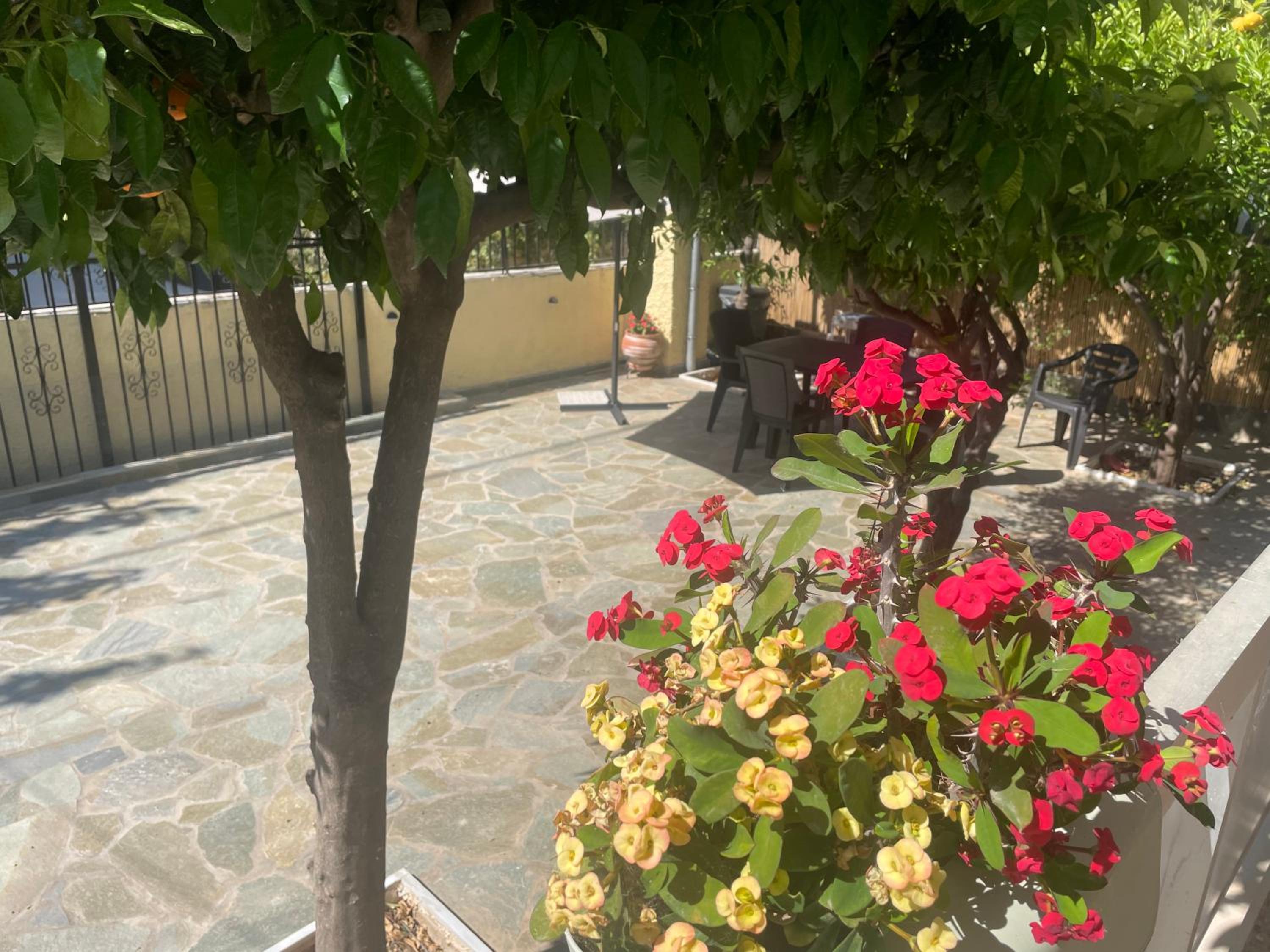 Renovated Apartments With Free Parking Near The Beach