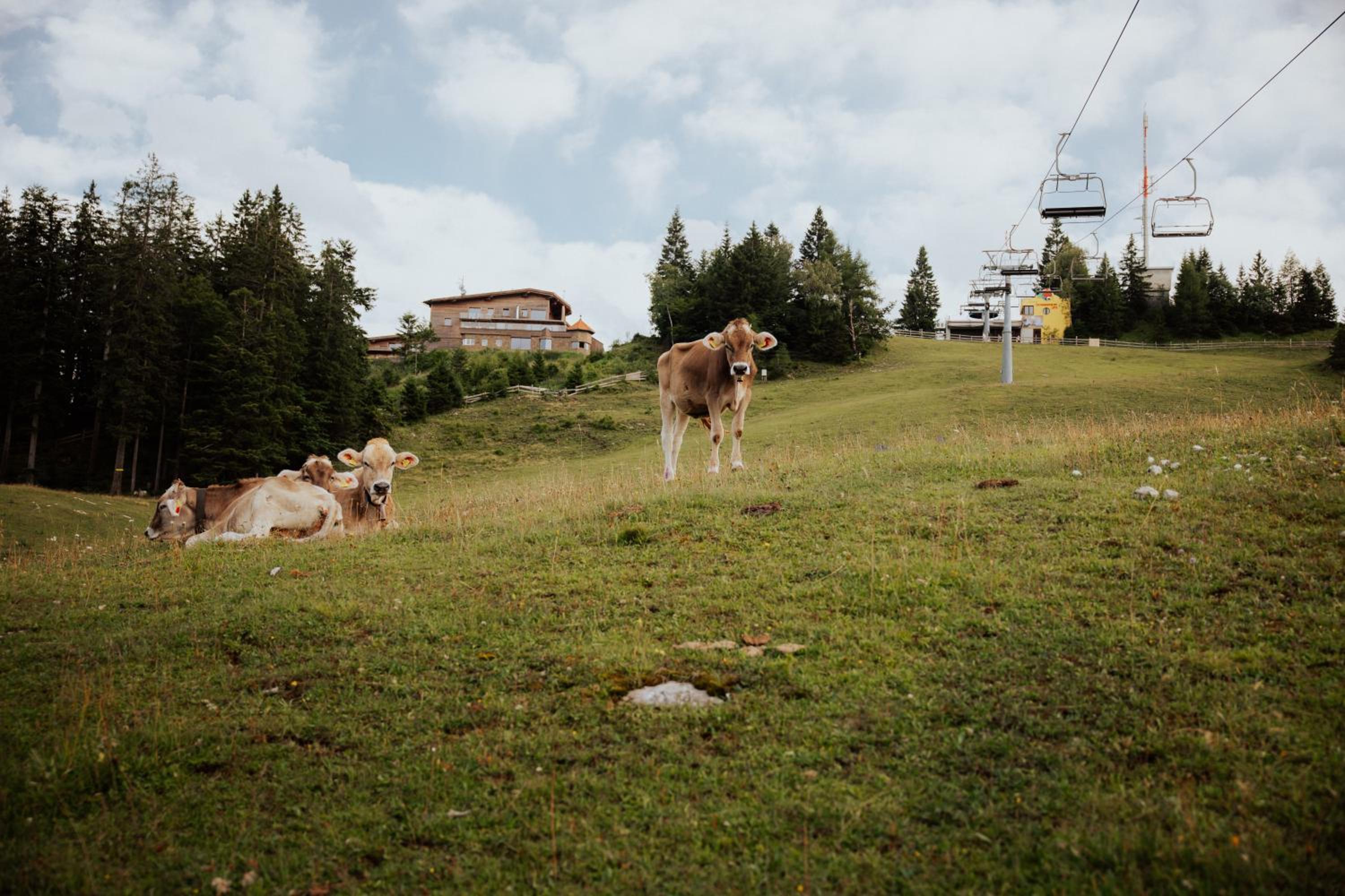 CHALET G12 - Mountain Luxury Apartments