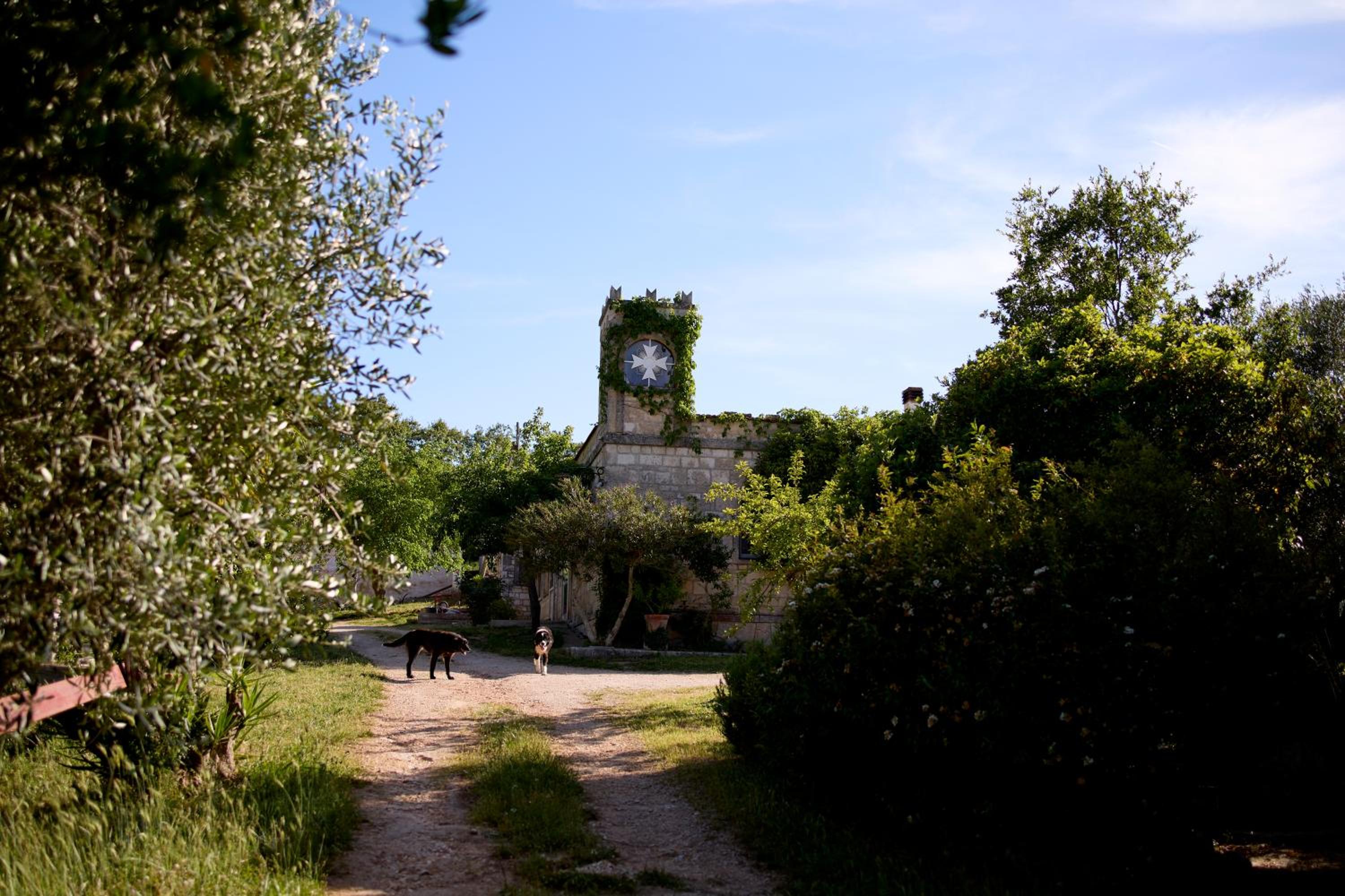 Photo 23