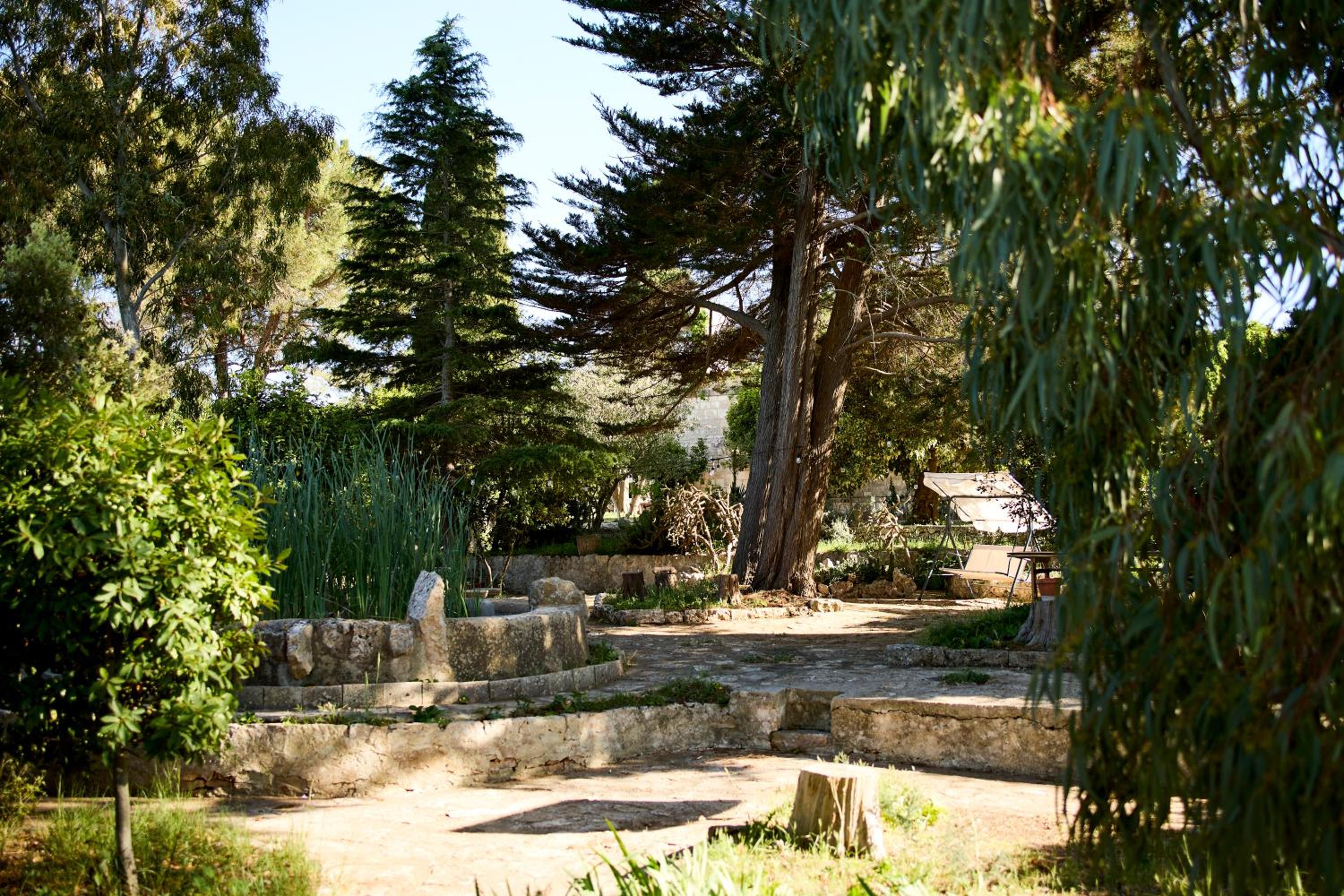 Photo 29