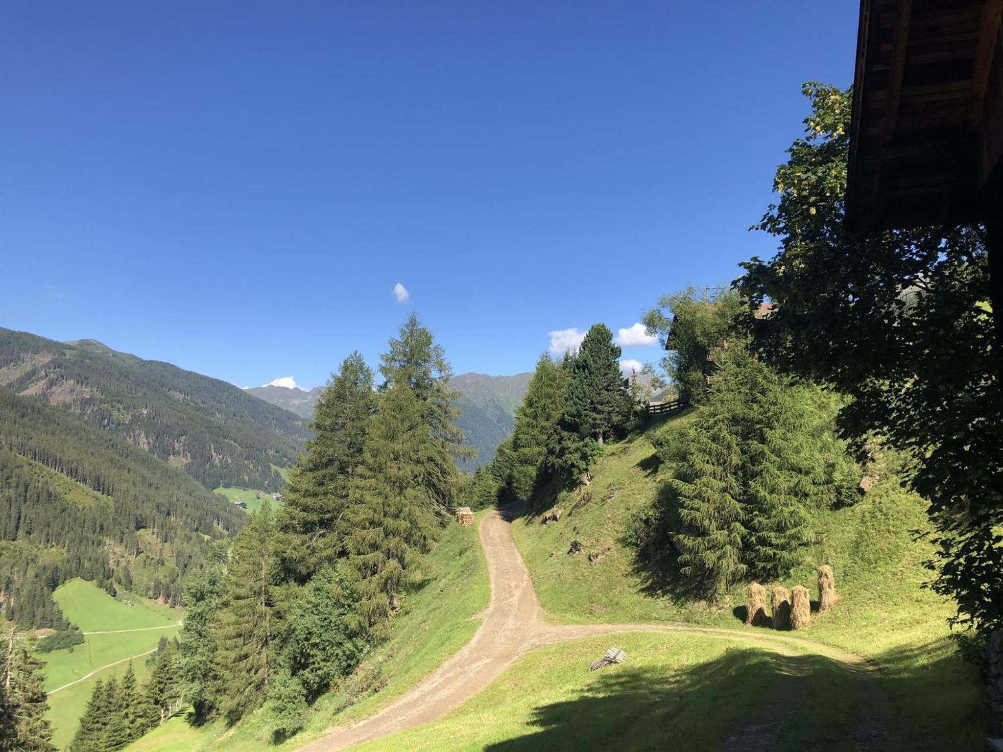 Lanzer Obheimat
