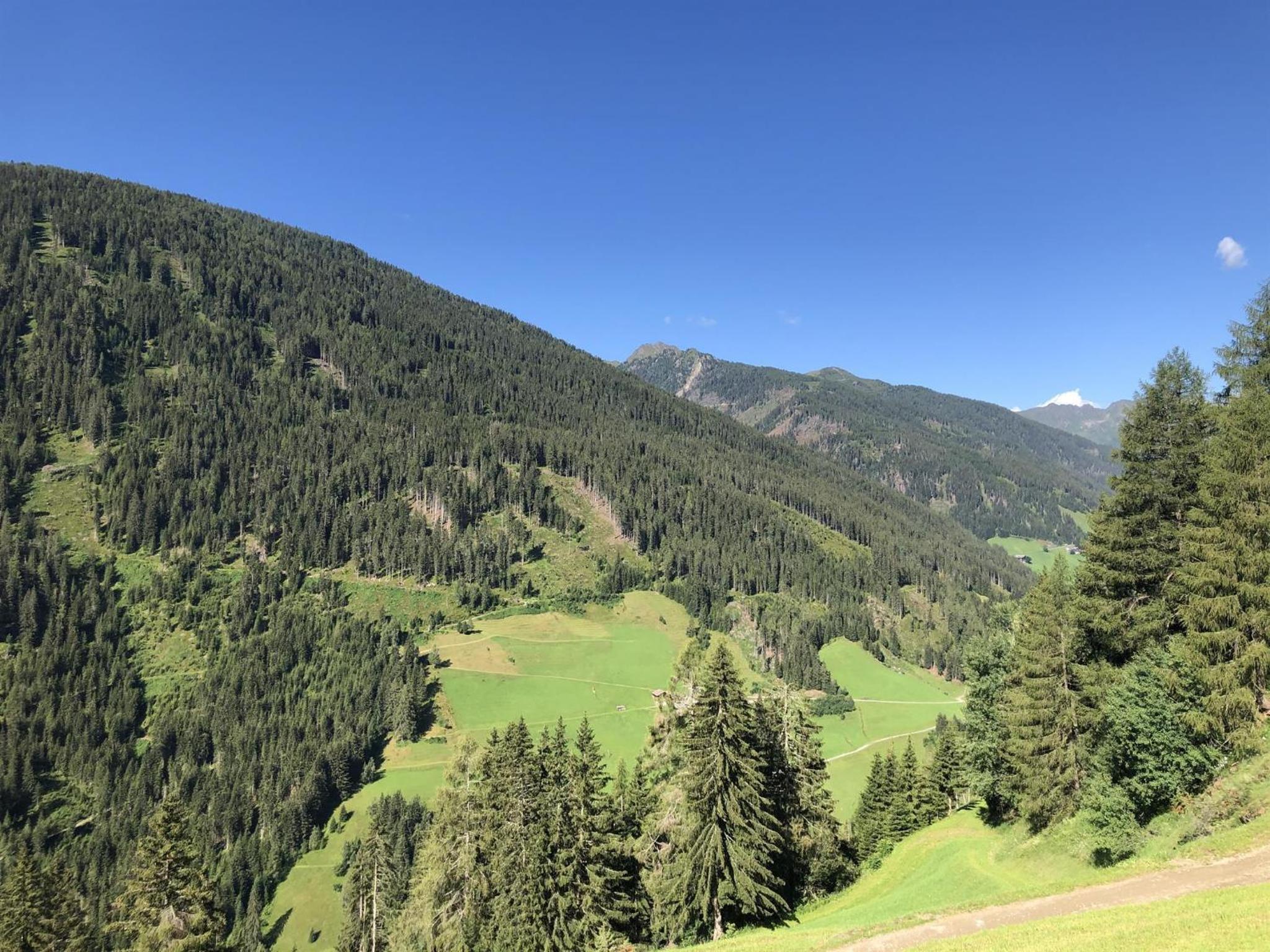 Lanzer Obheimat