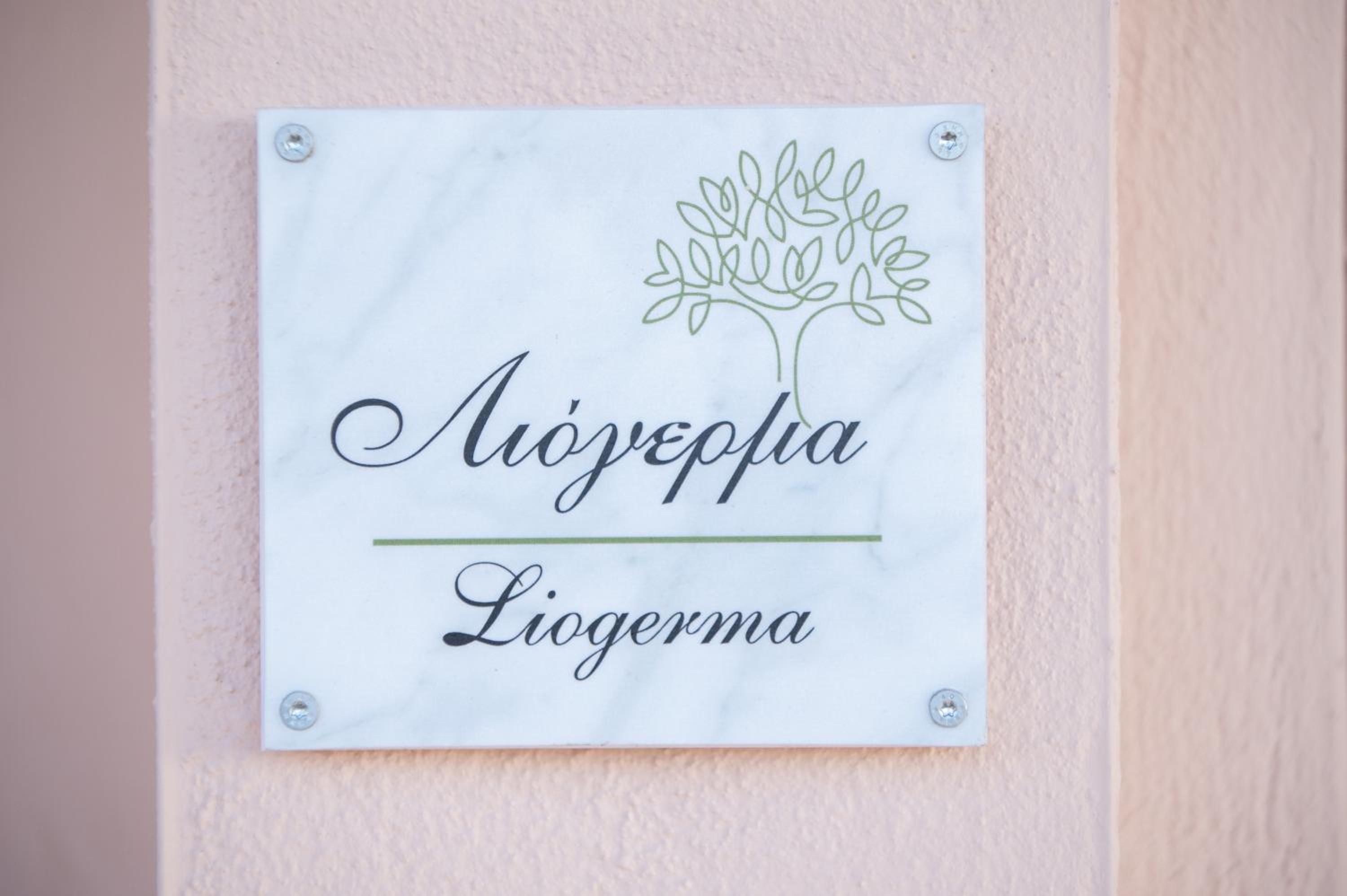 Olea Apartments Palioura Epanomi view 4