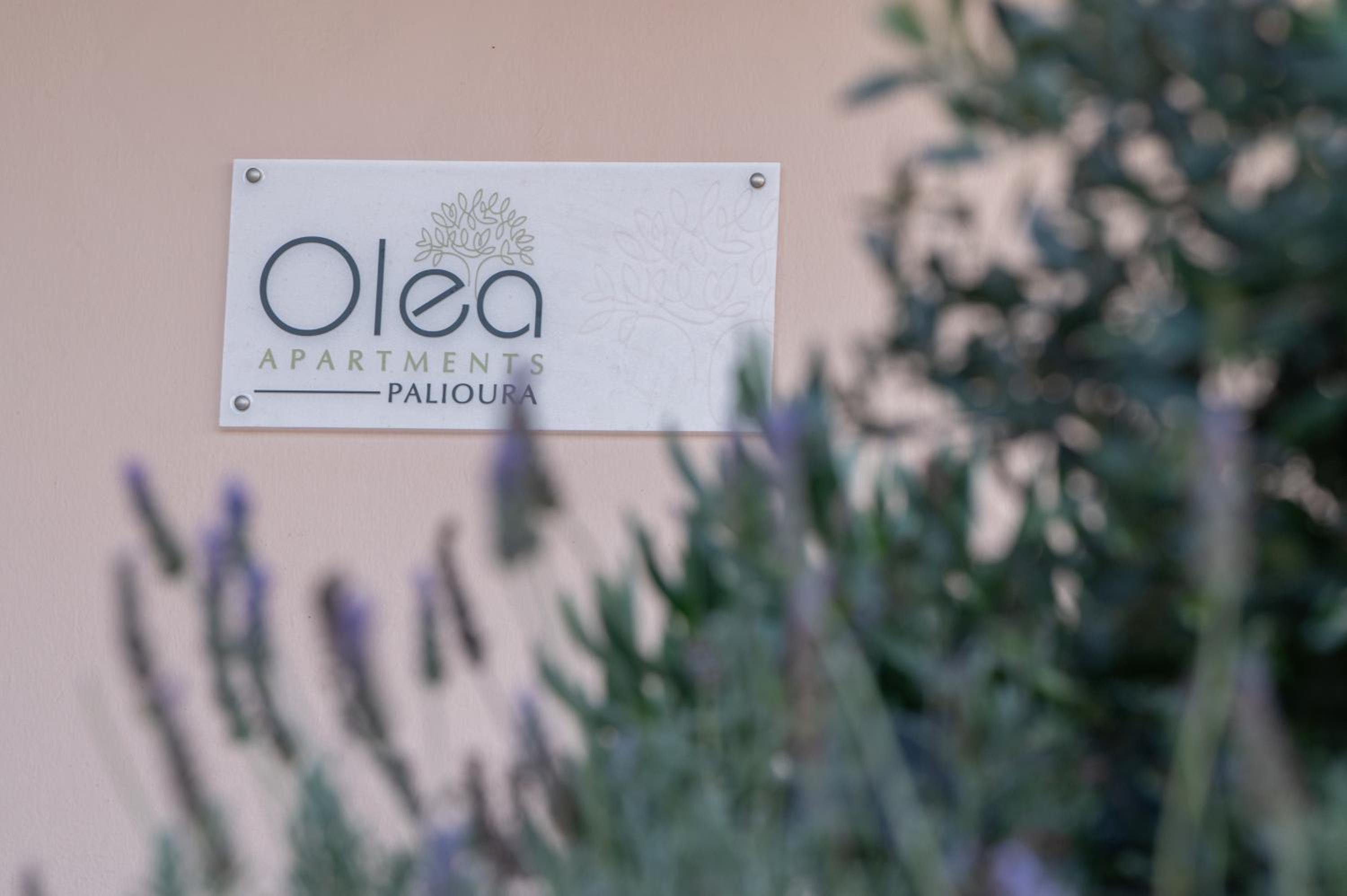 Olea Apartments Palioura Epanomi view 5