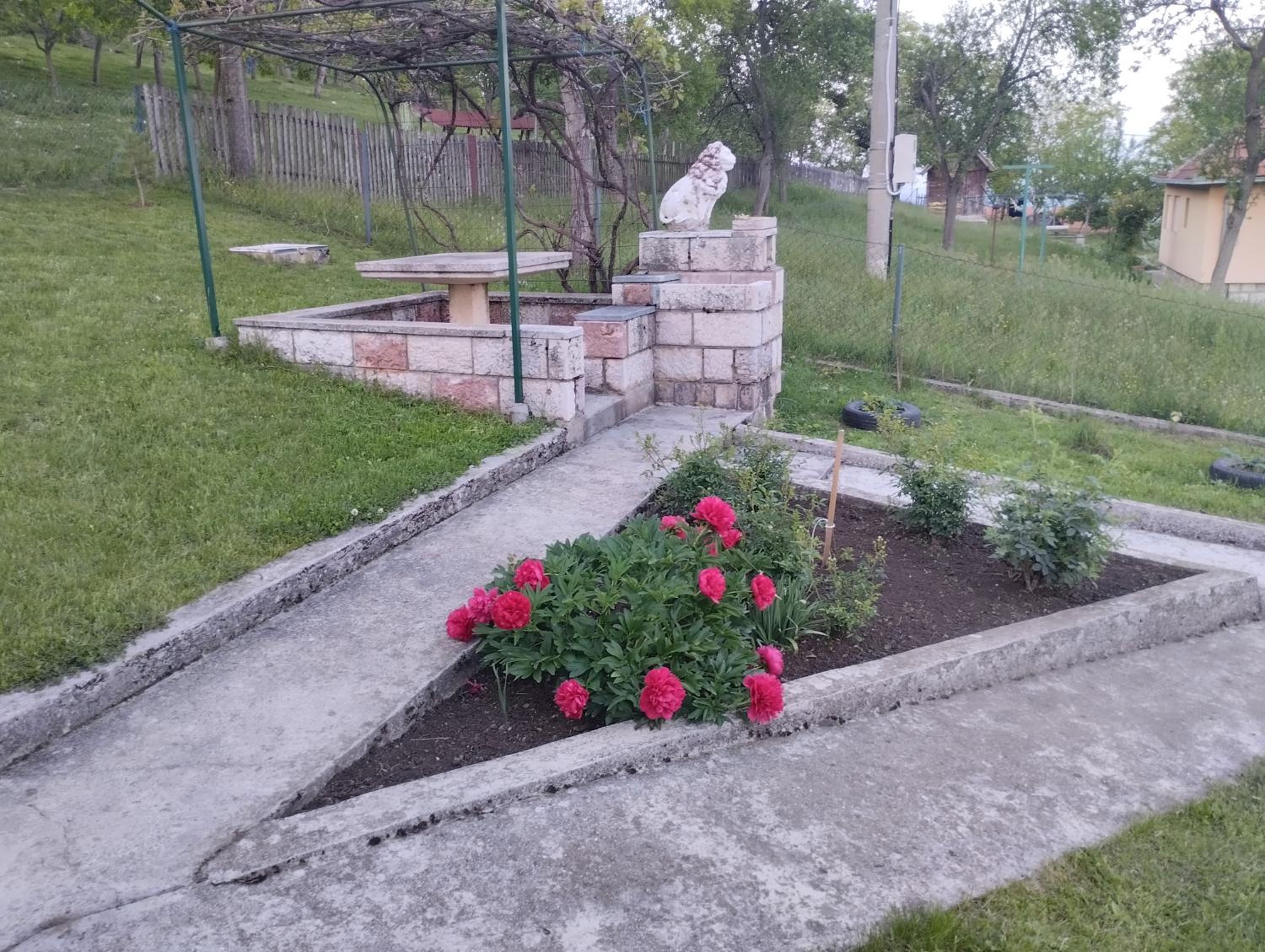 Photo 23