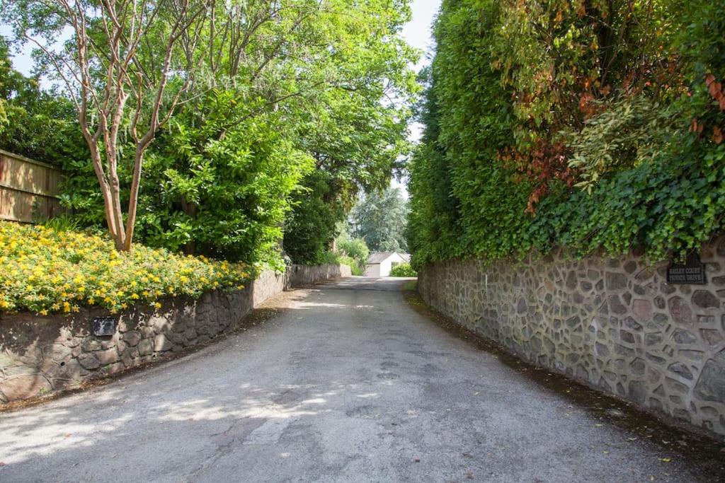 Beautiful treetop apartment with Cotswolds views