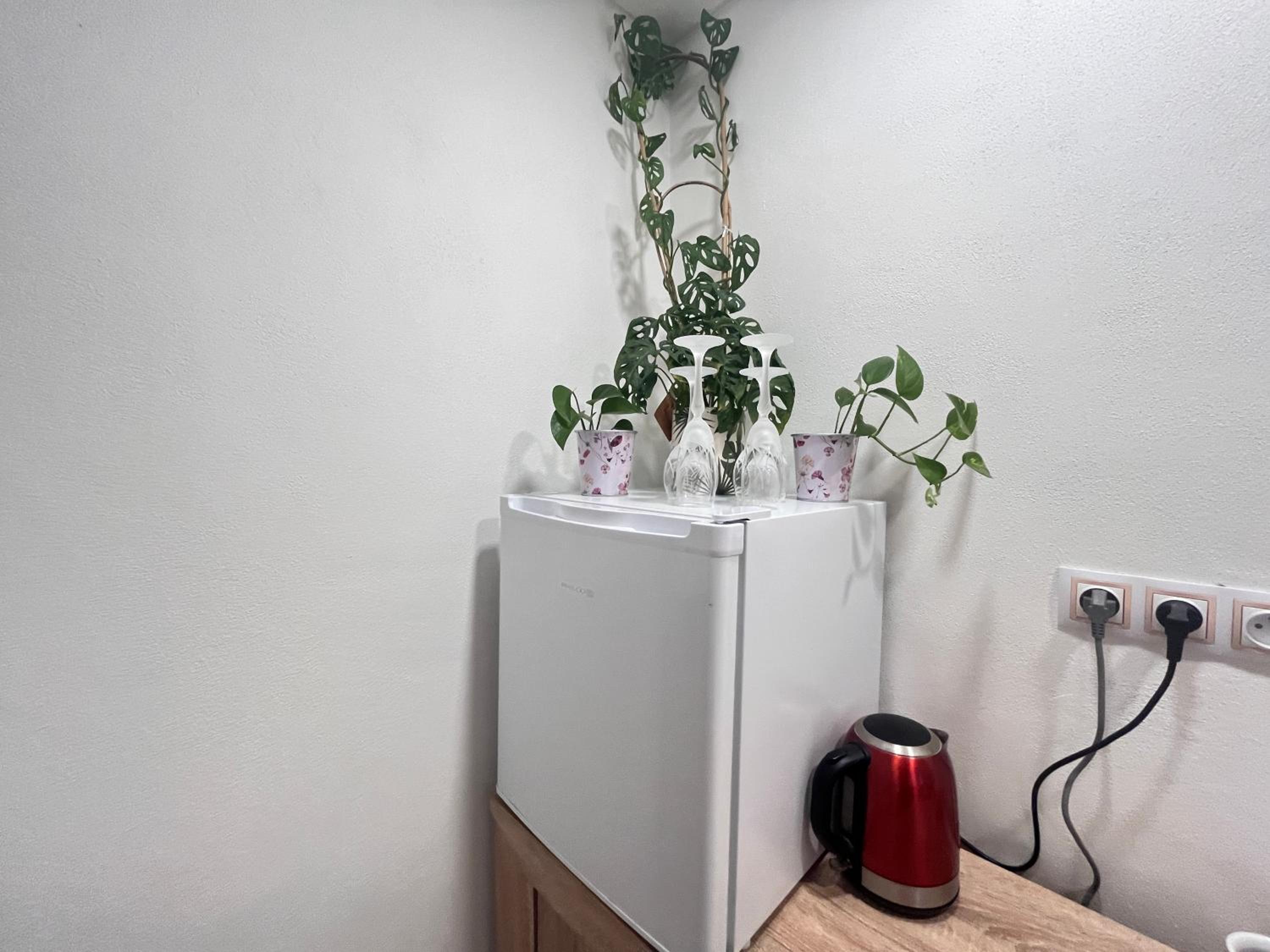 Monstera II - pokoj economy