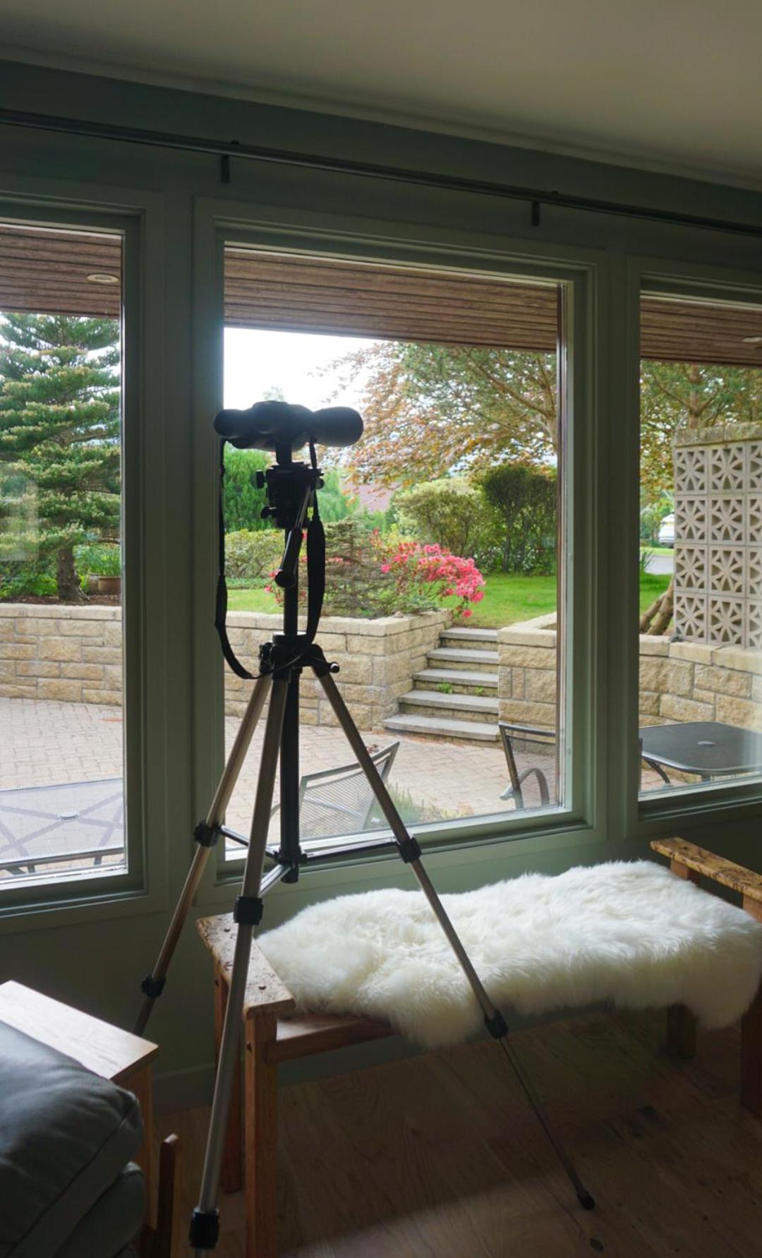 Greenwood - Stunning Scandinavian Style Home in the heart of Ballater Royal Deeside