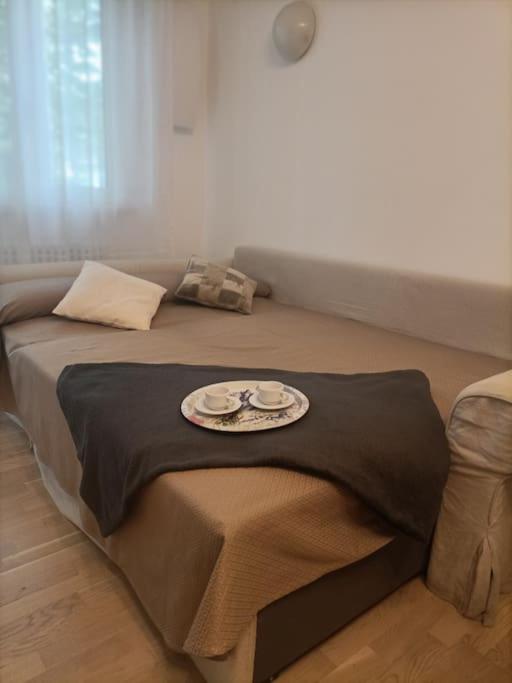 Appartamenti Stella Maris Riccione porto