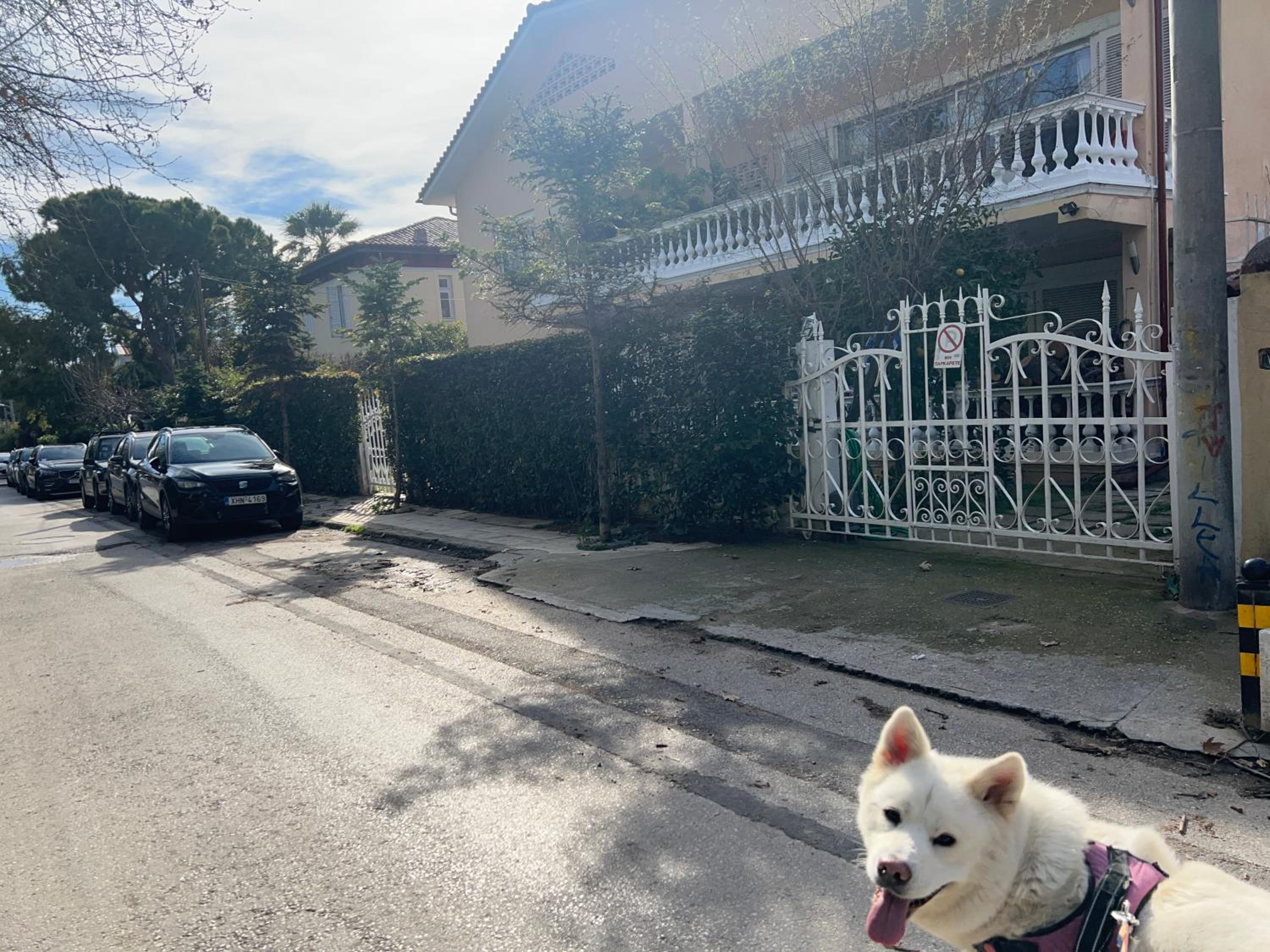 PJ GARDEN HOUSE photo 5