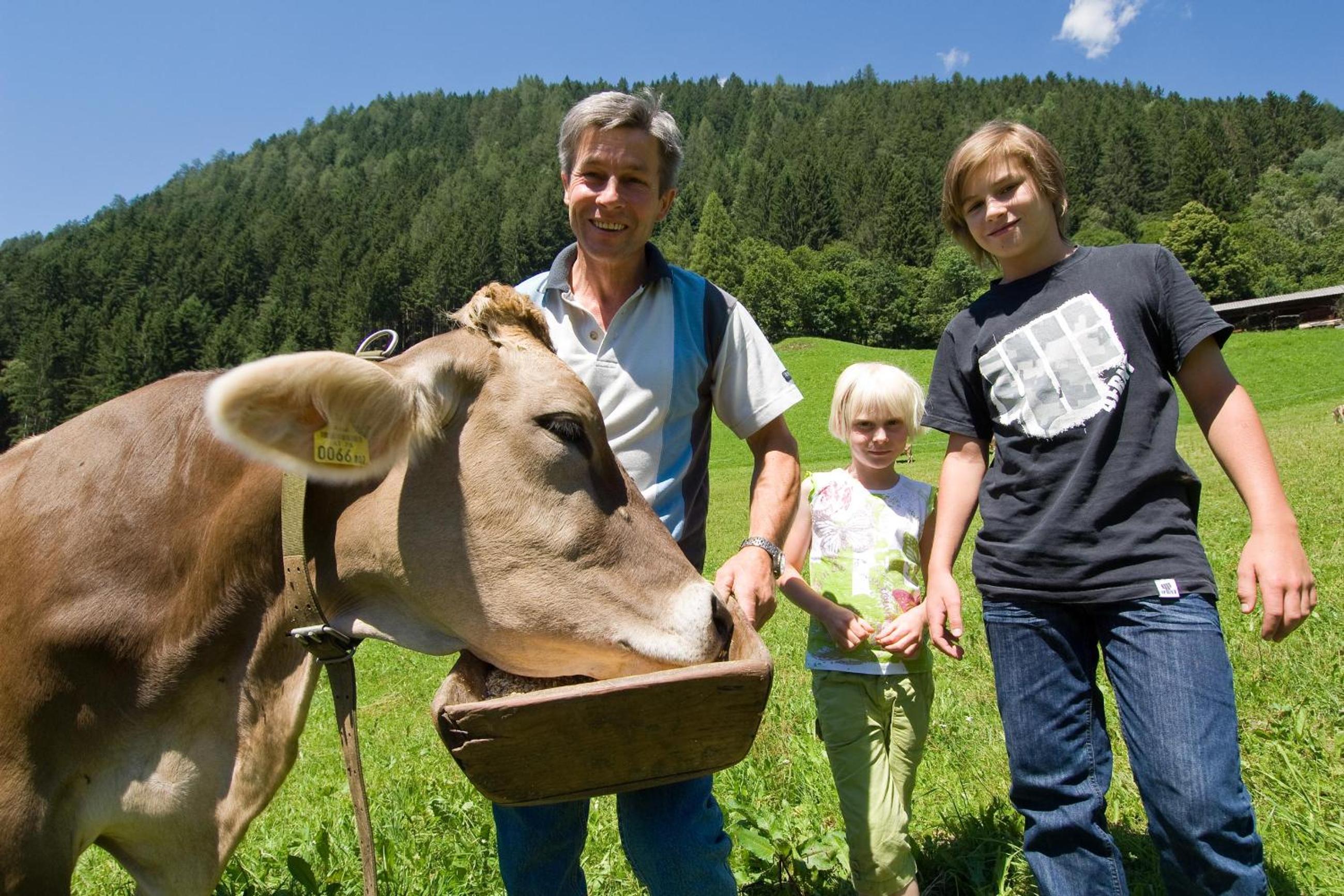 Ladestatthof
