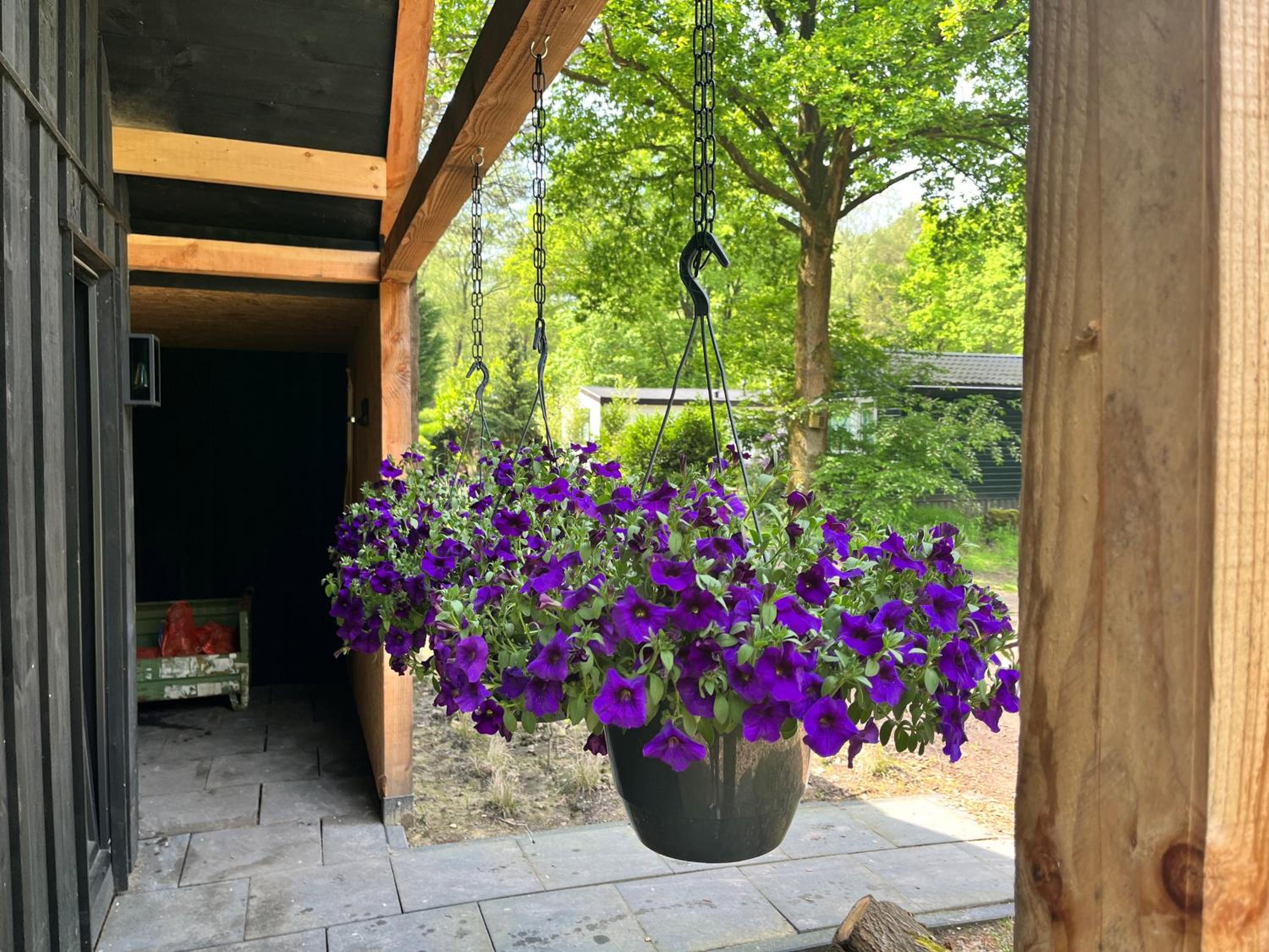 Wellness in the Woods - 4p TinyHouse met privé sauna & hottub view 5