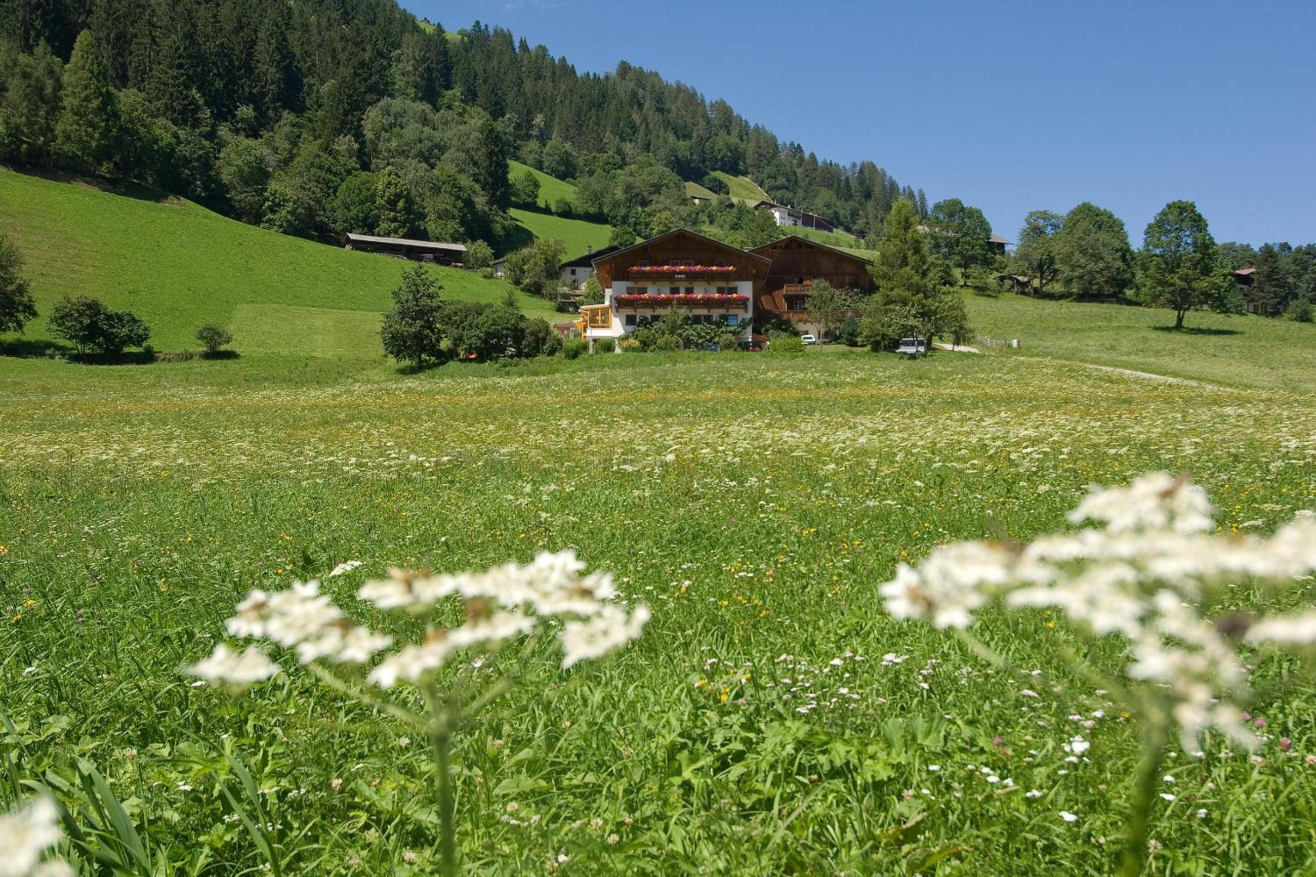 Ladestatthof