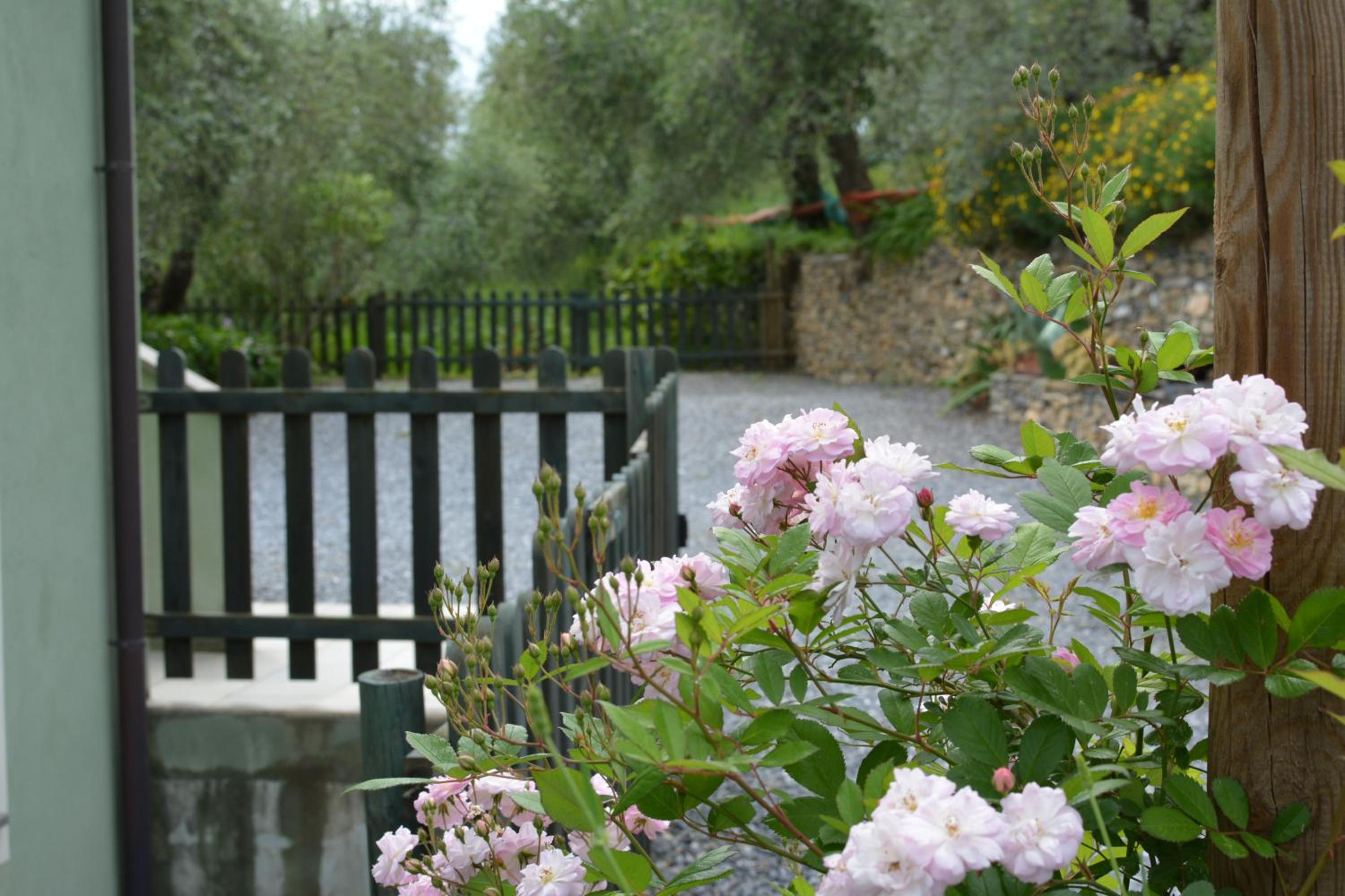 Photo 45