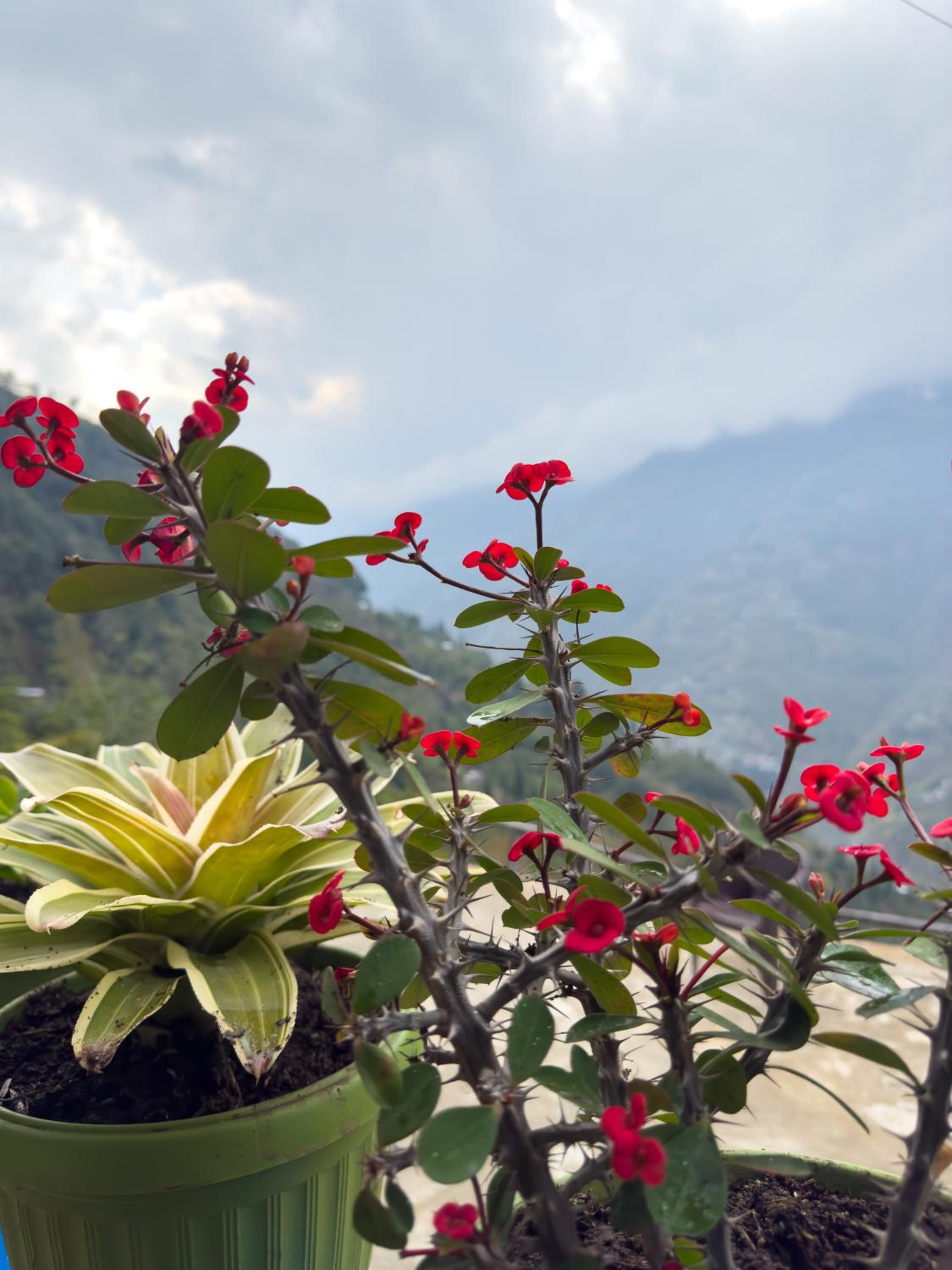 Tumfuwa Homestay