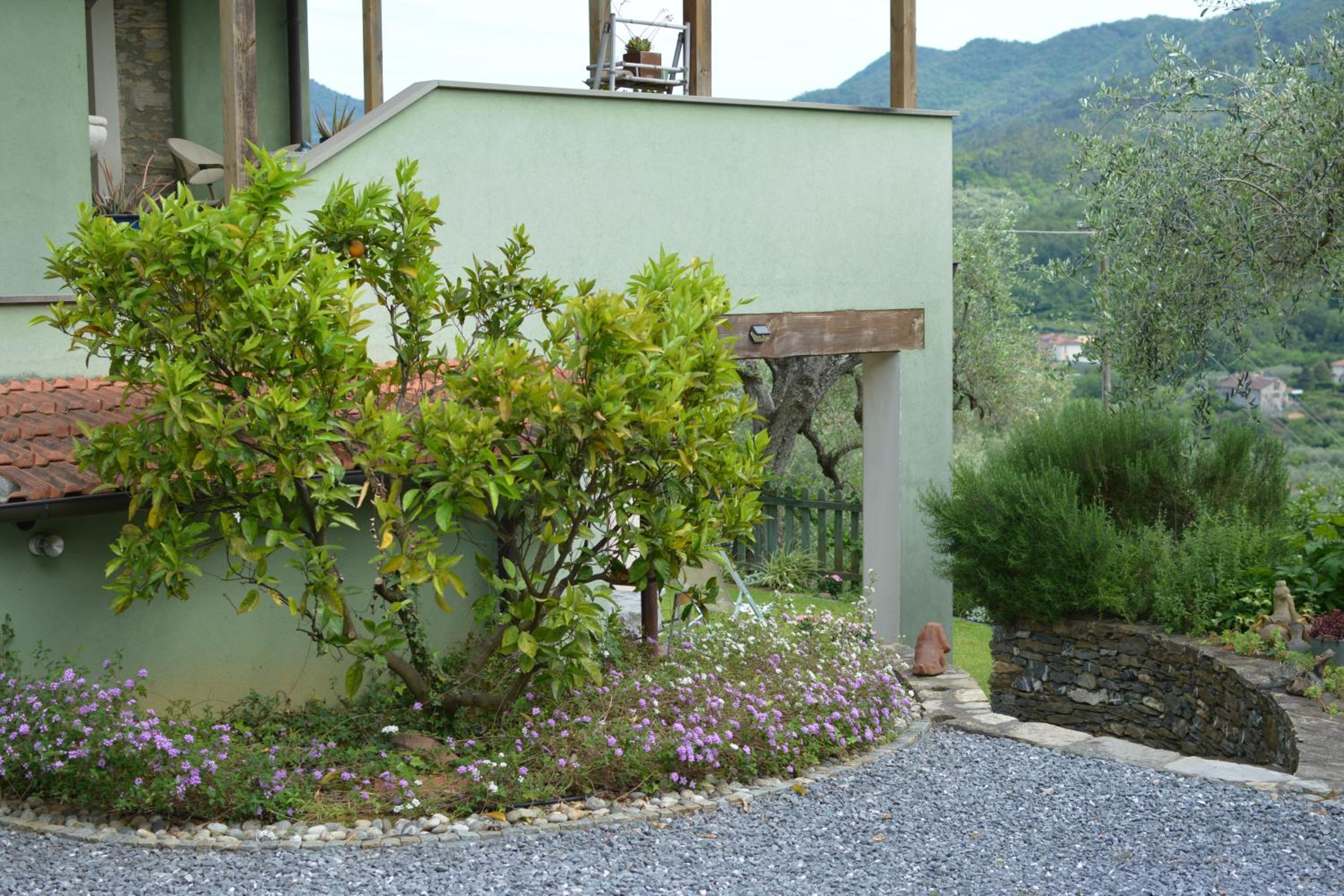 Photo 49