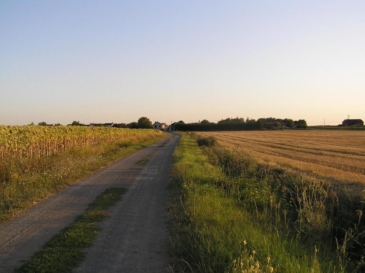 Photo 30