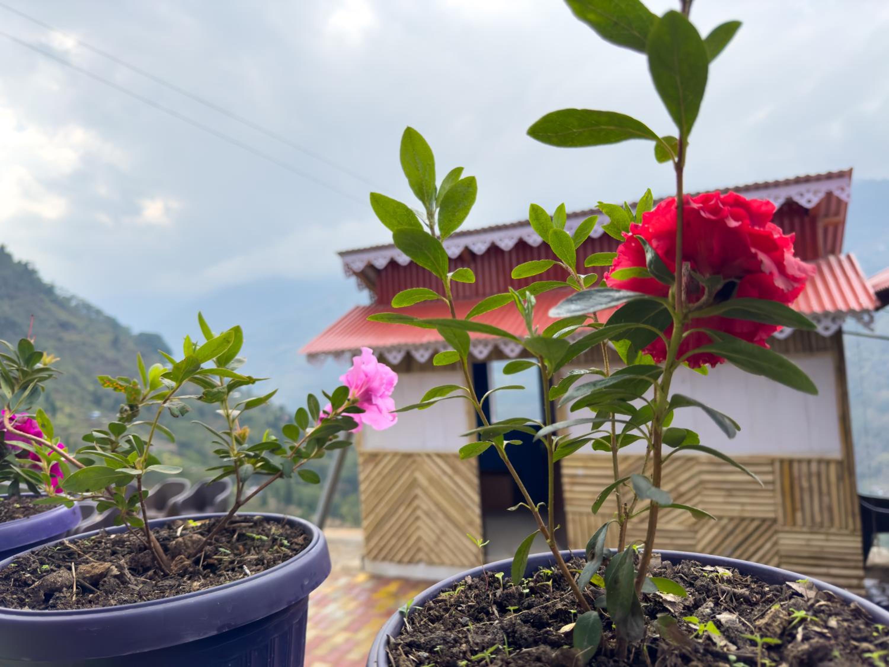 Tumfuwa Homestay