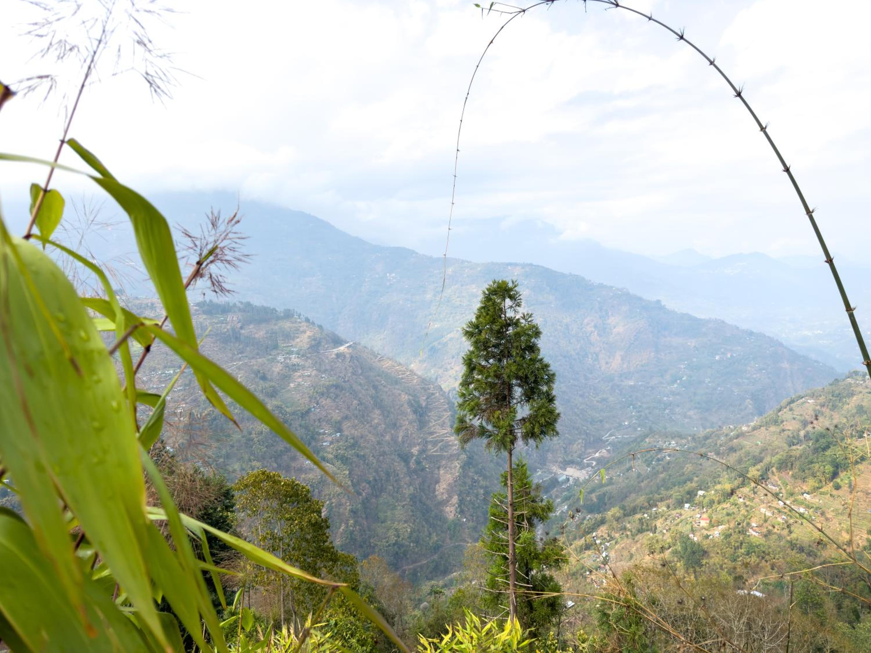 Tumfuwa Homestay