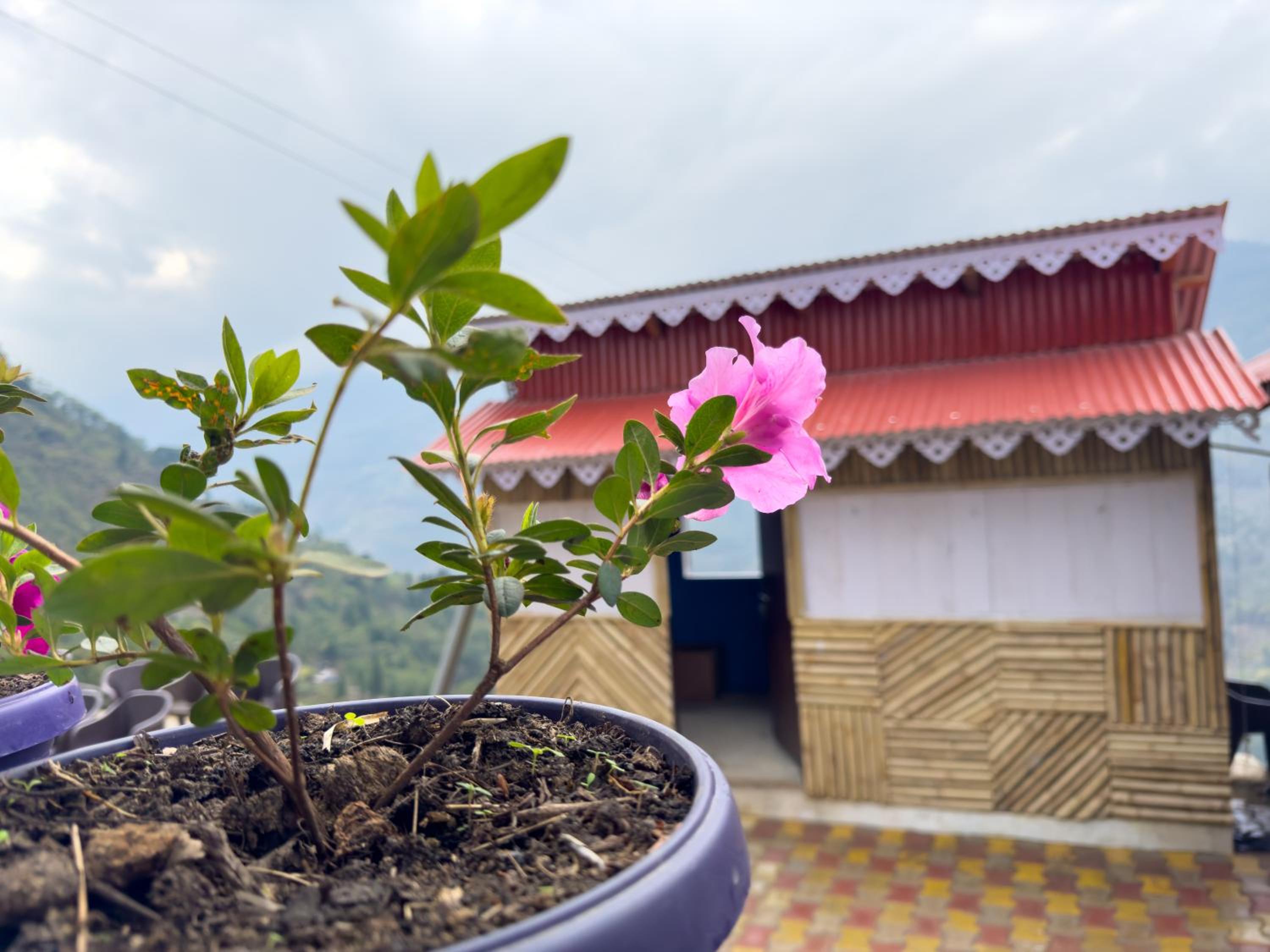 Tumfuwa Homestay