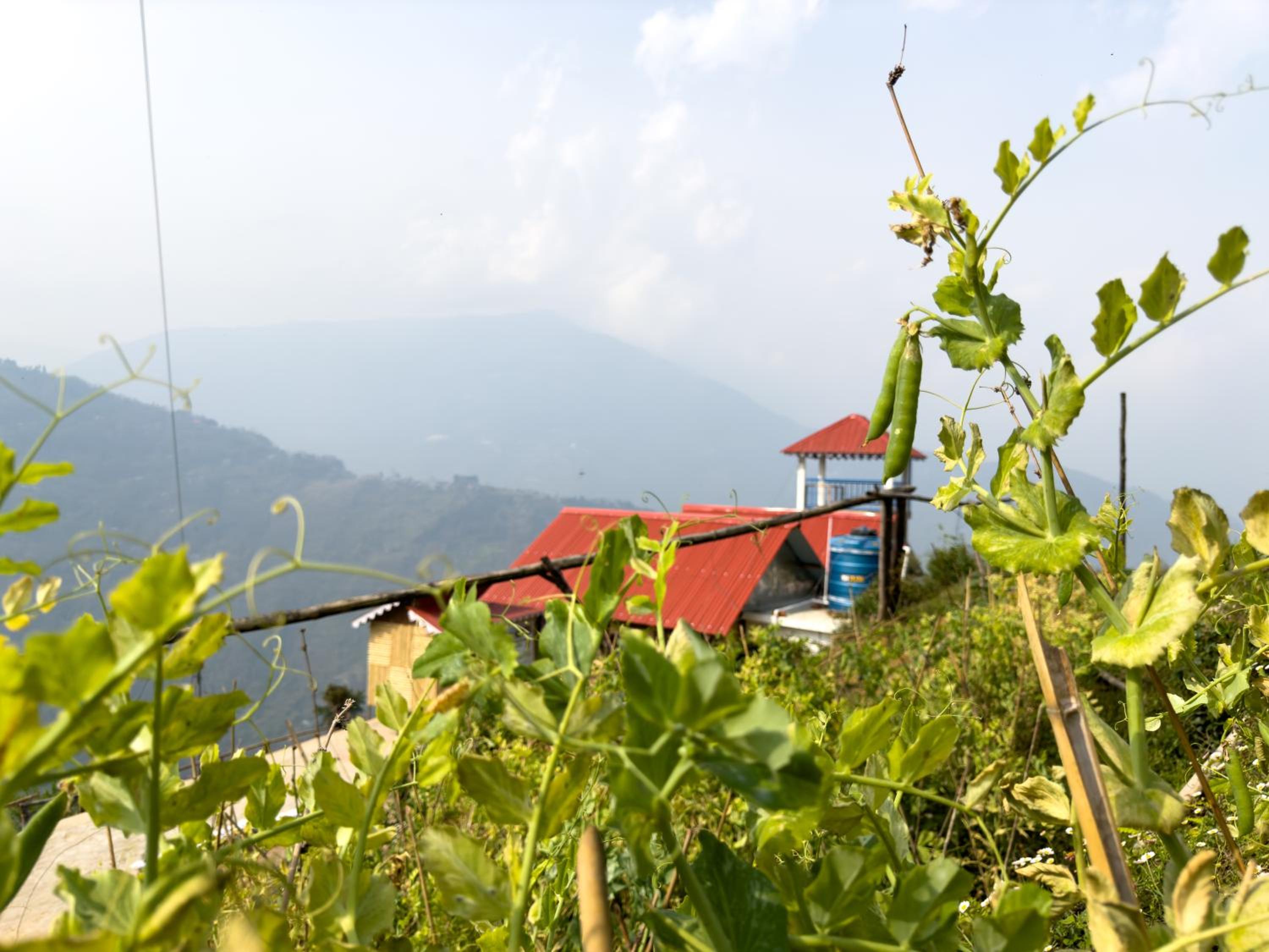 Tumfuwa Homestay