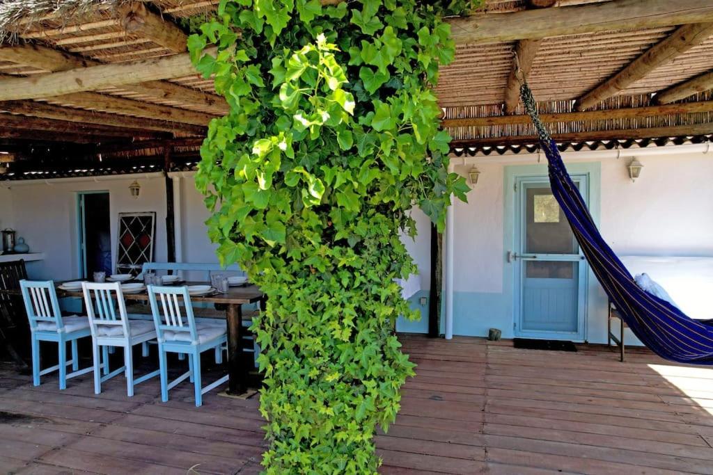 Casa da Horta