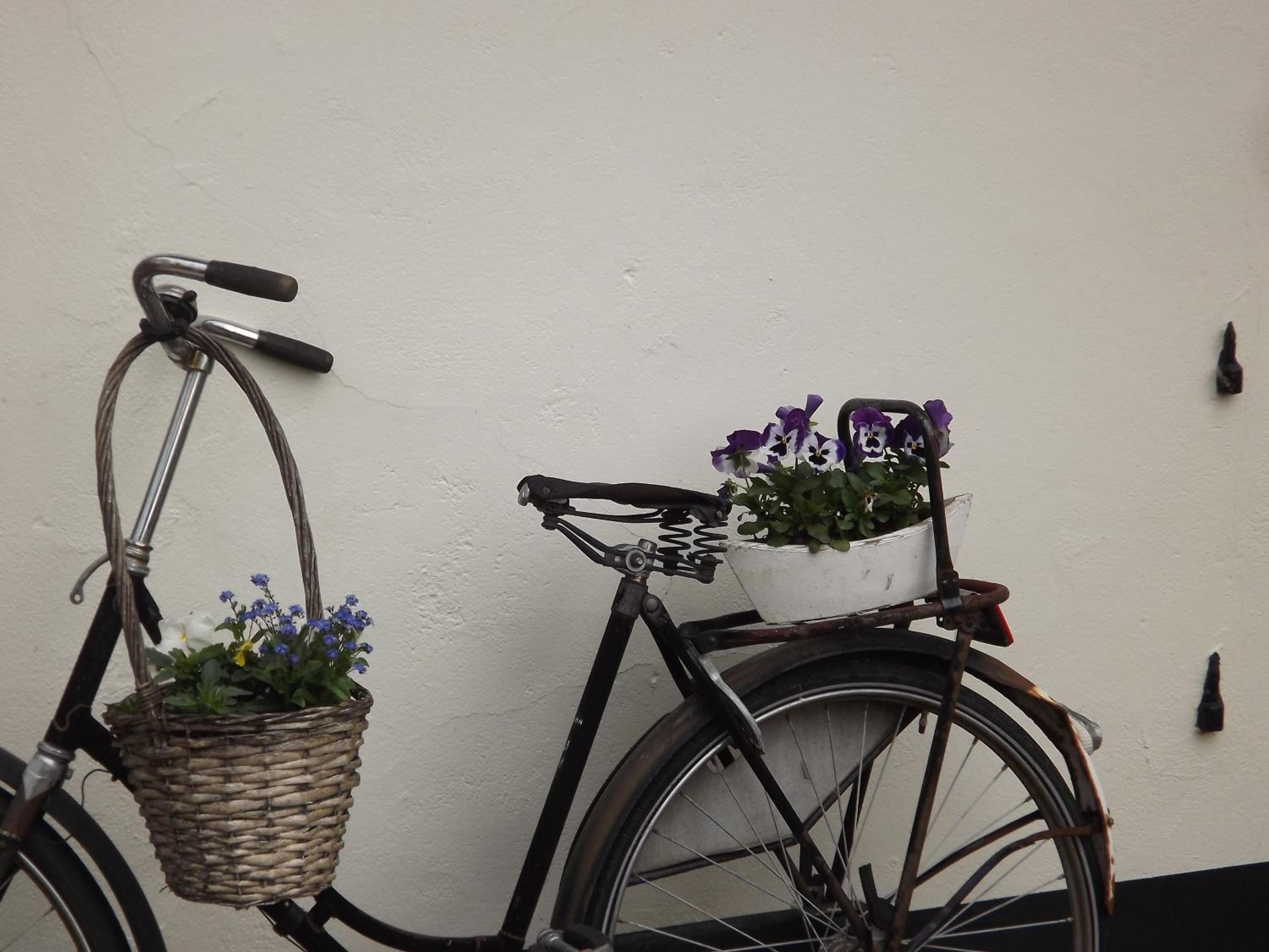 B&B De Willemshoeve, photo 43