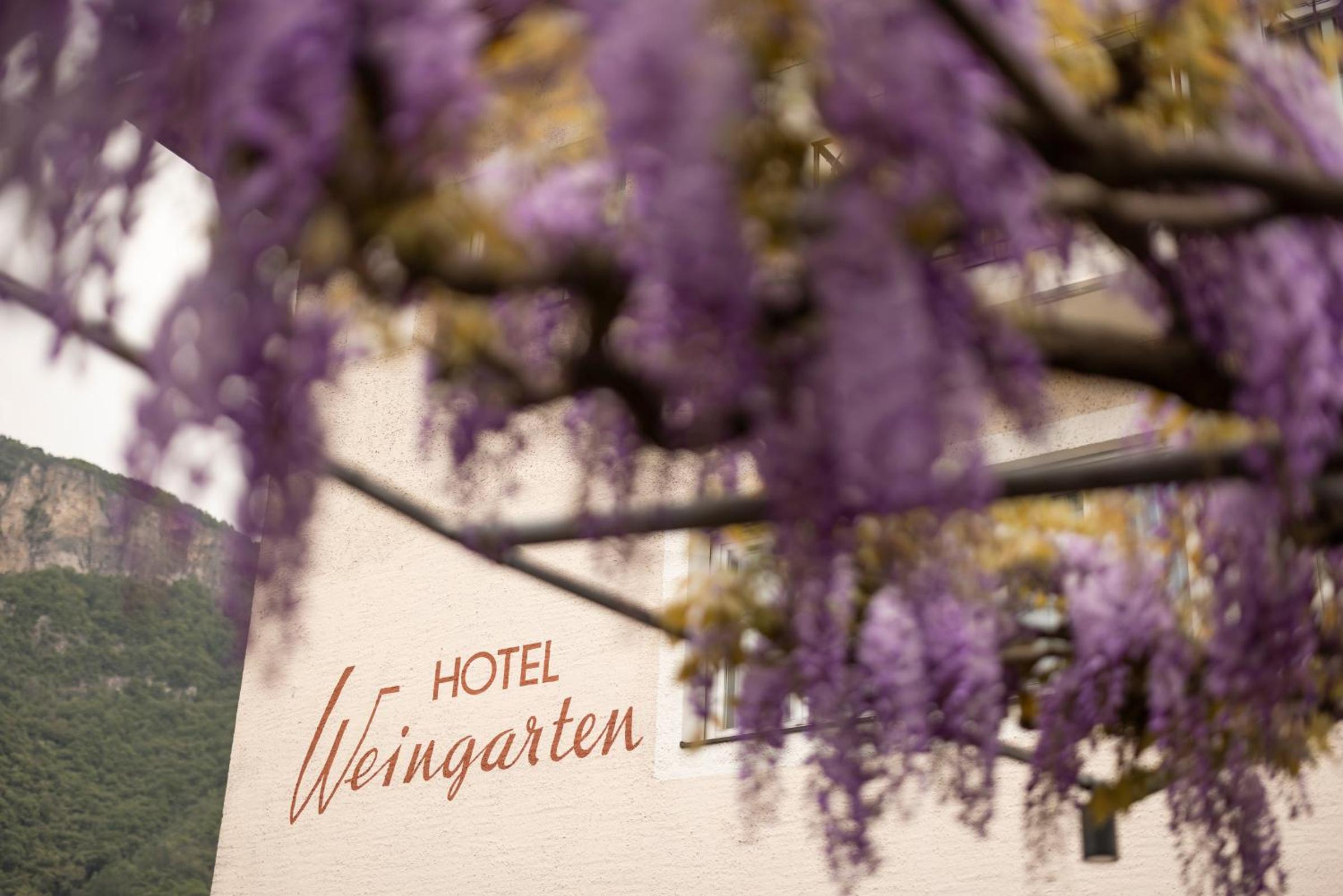 Hotel Weingarten Terlan - Rooms & Breakfast - Image 1
