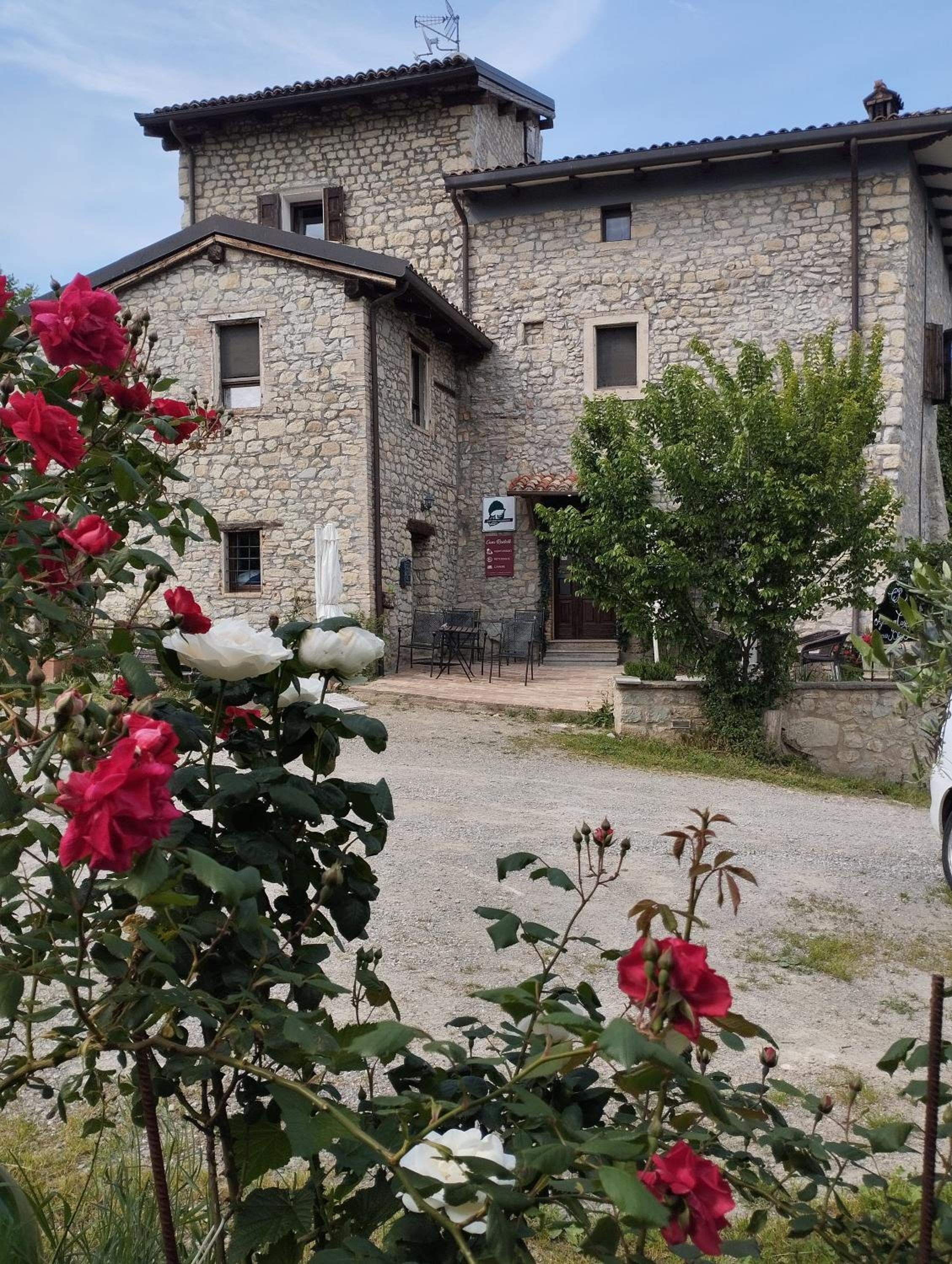 Photo 41