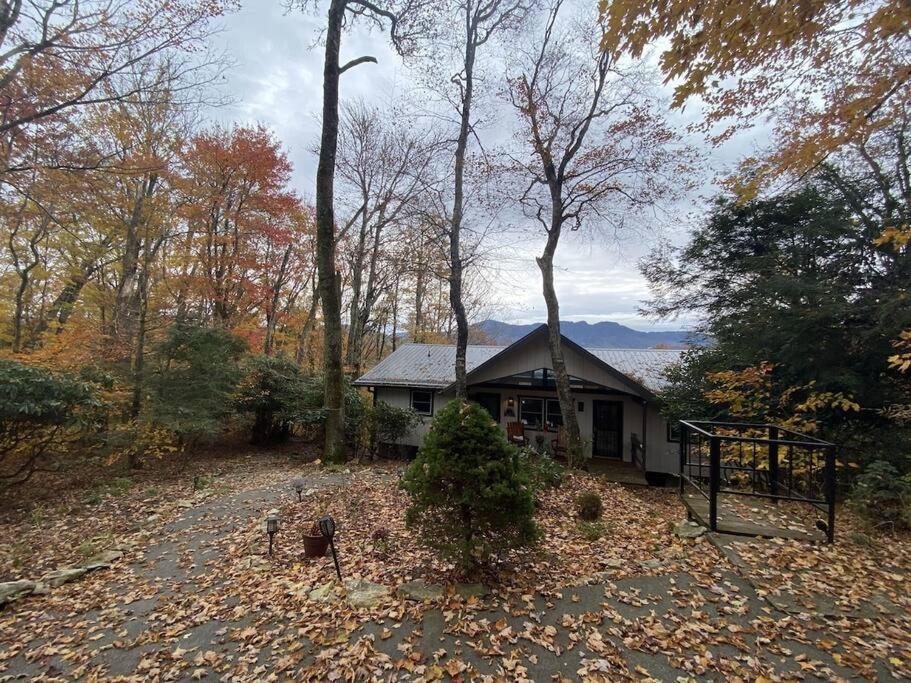 View Grandfather Mountain, Ride Alpine Coaster, Dog Friendly view 2