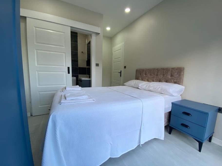 Küre Dağları Manzaralı Şömineli ve Bahçeli Villa view 3