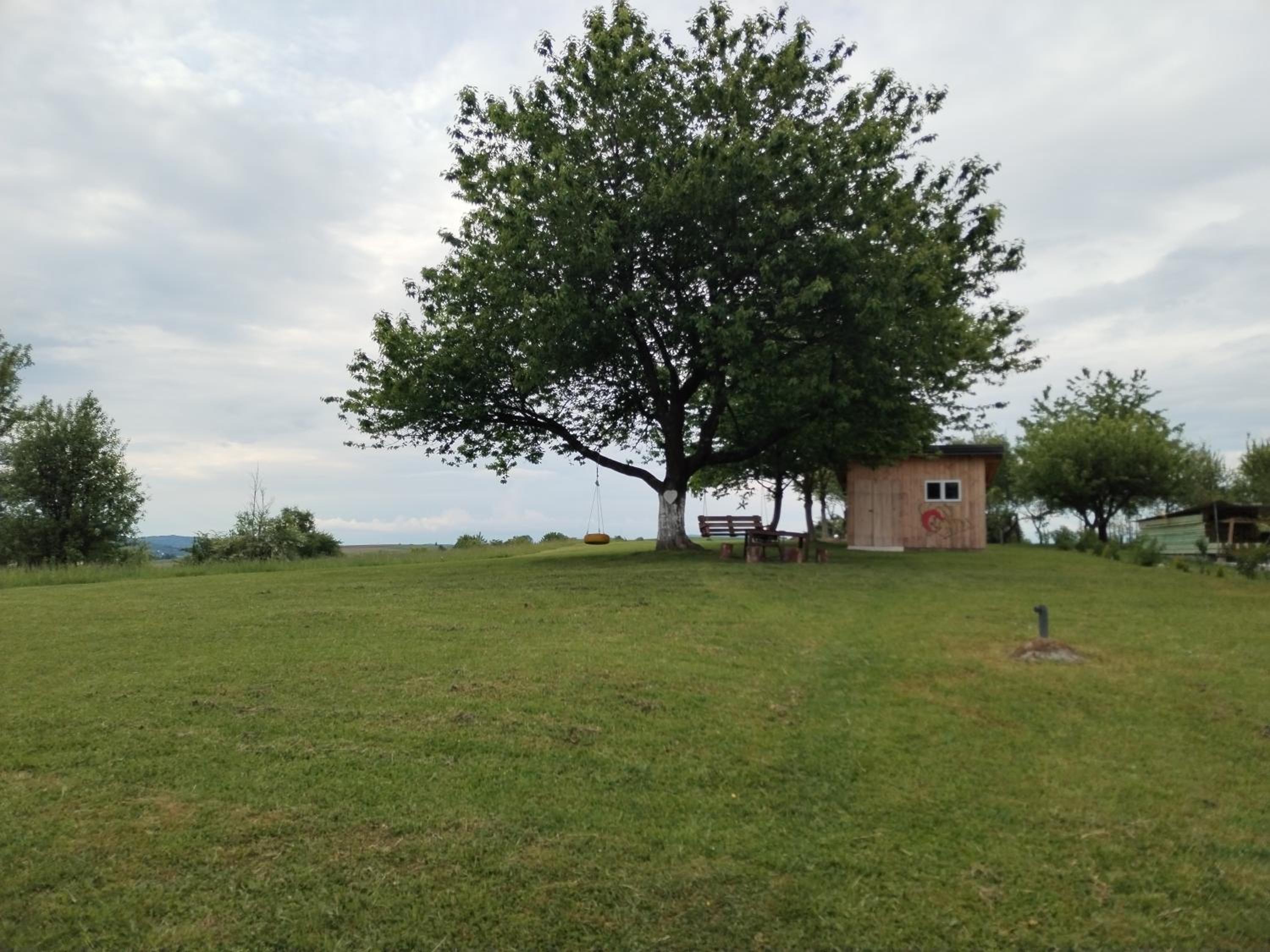 Photo 11