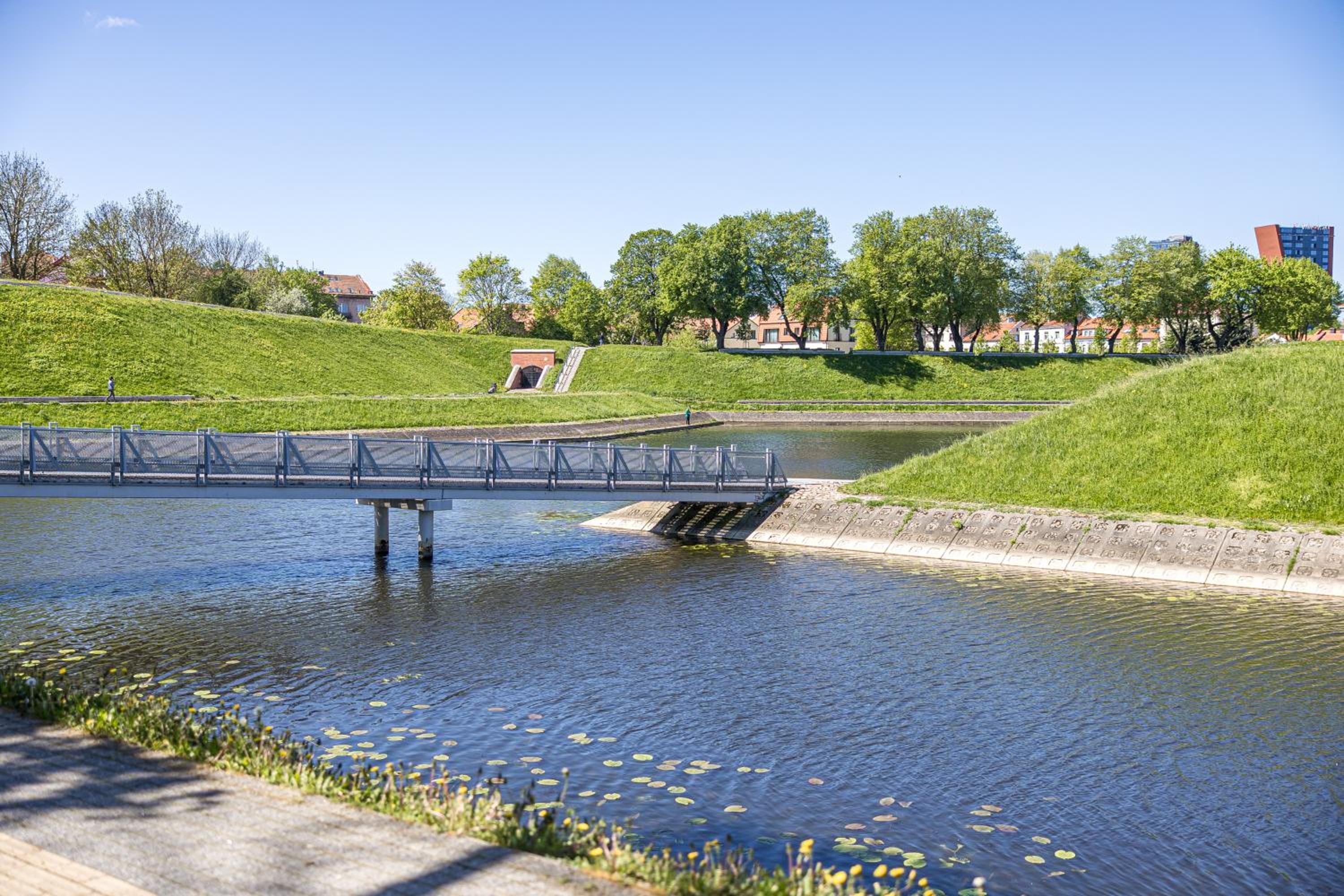 Willow studio apartment in Klaipeda Oldtown view 3