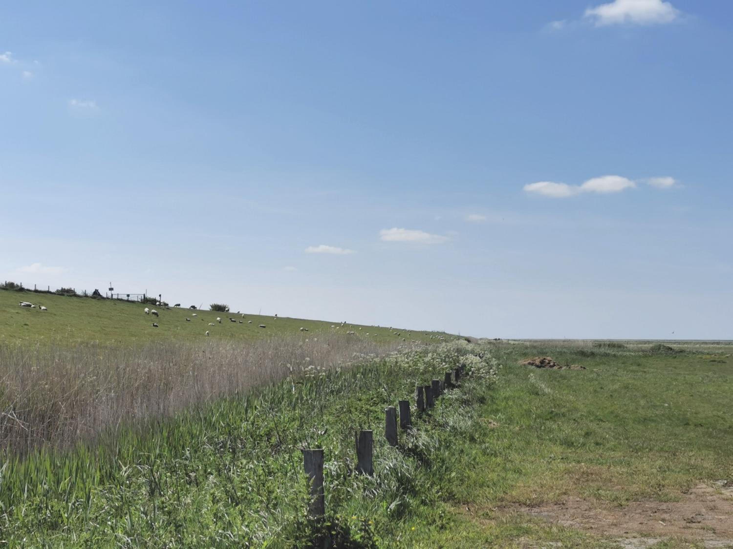 Ferienwohnung 1 Nordsee Gulfhof Dornum - mit großem Garten