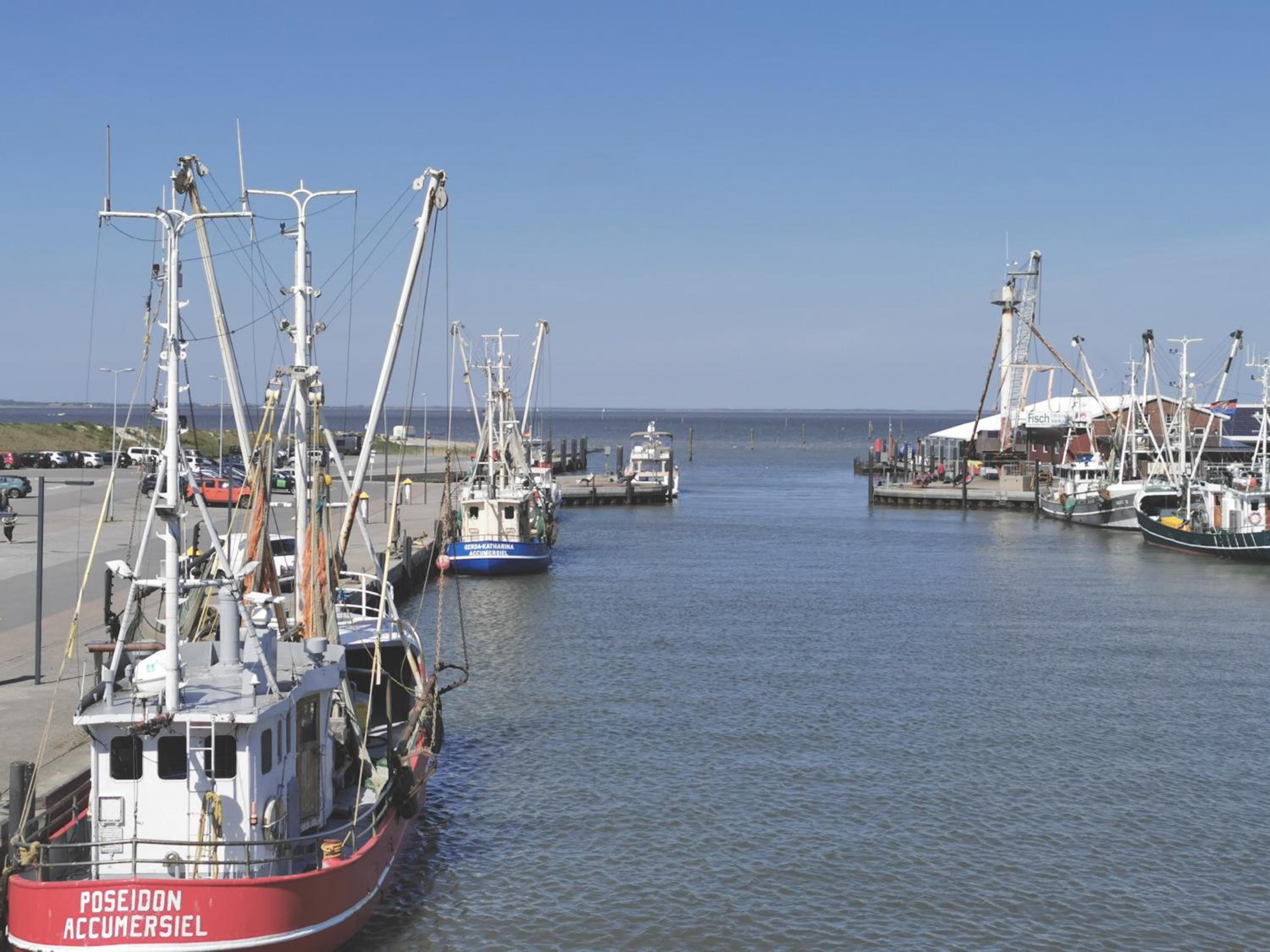 Ferienwohnung 1 Nordsee Gulfhof Dornum - mit großem Garten