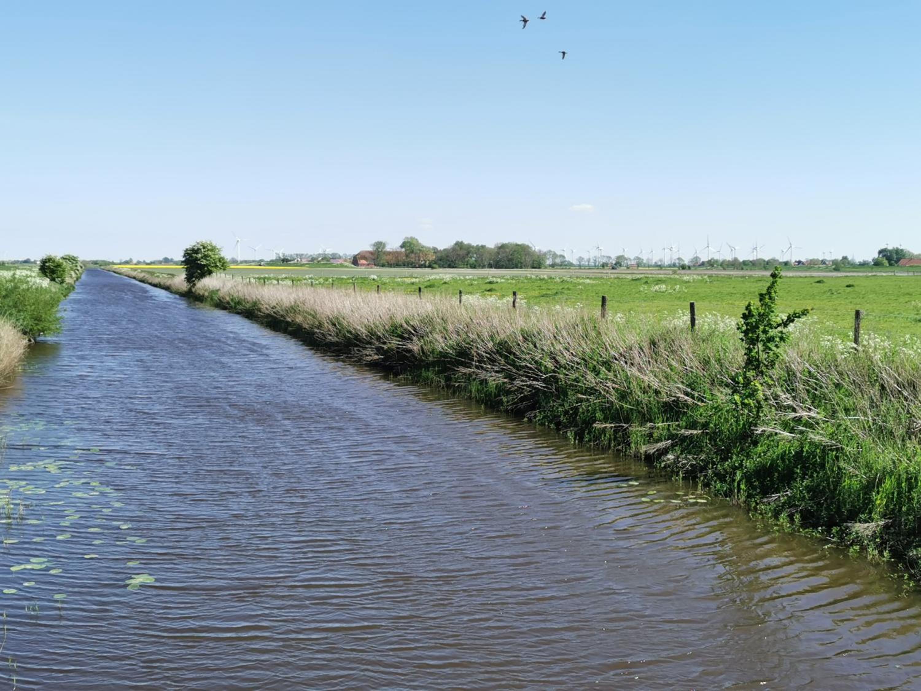 Ferienwohnung 1 Nordsee Gulfhof Dornum - mit großem Garten