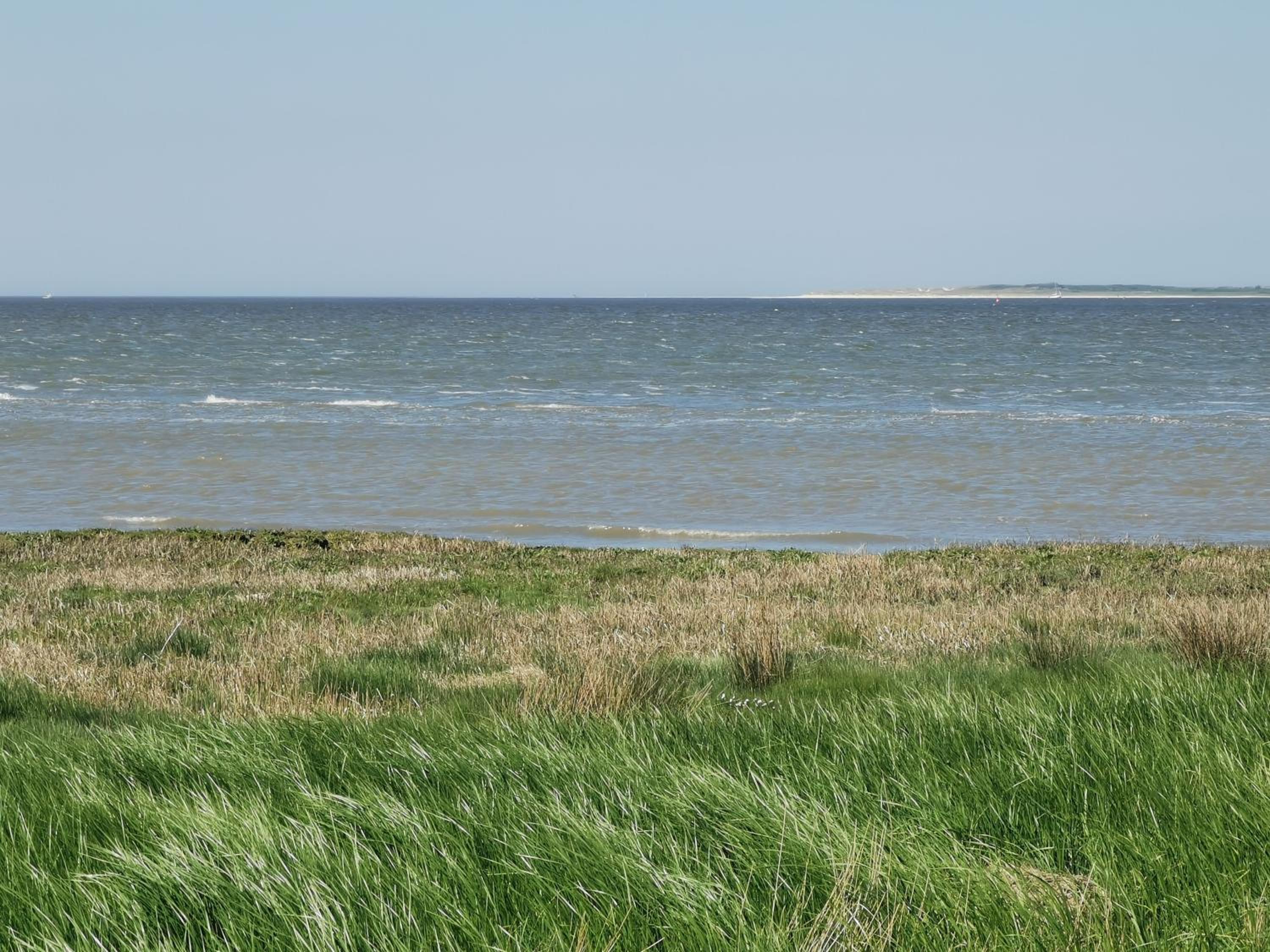 Ferienwohnung 1 Nordsee Gulfhof Dornum - mit großem Garten