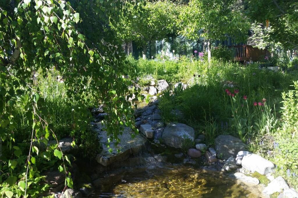 Photo 8
